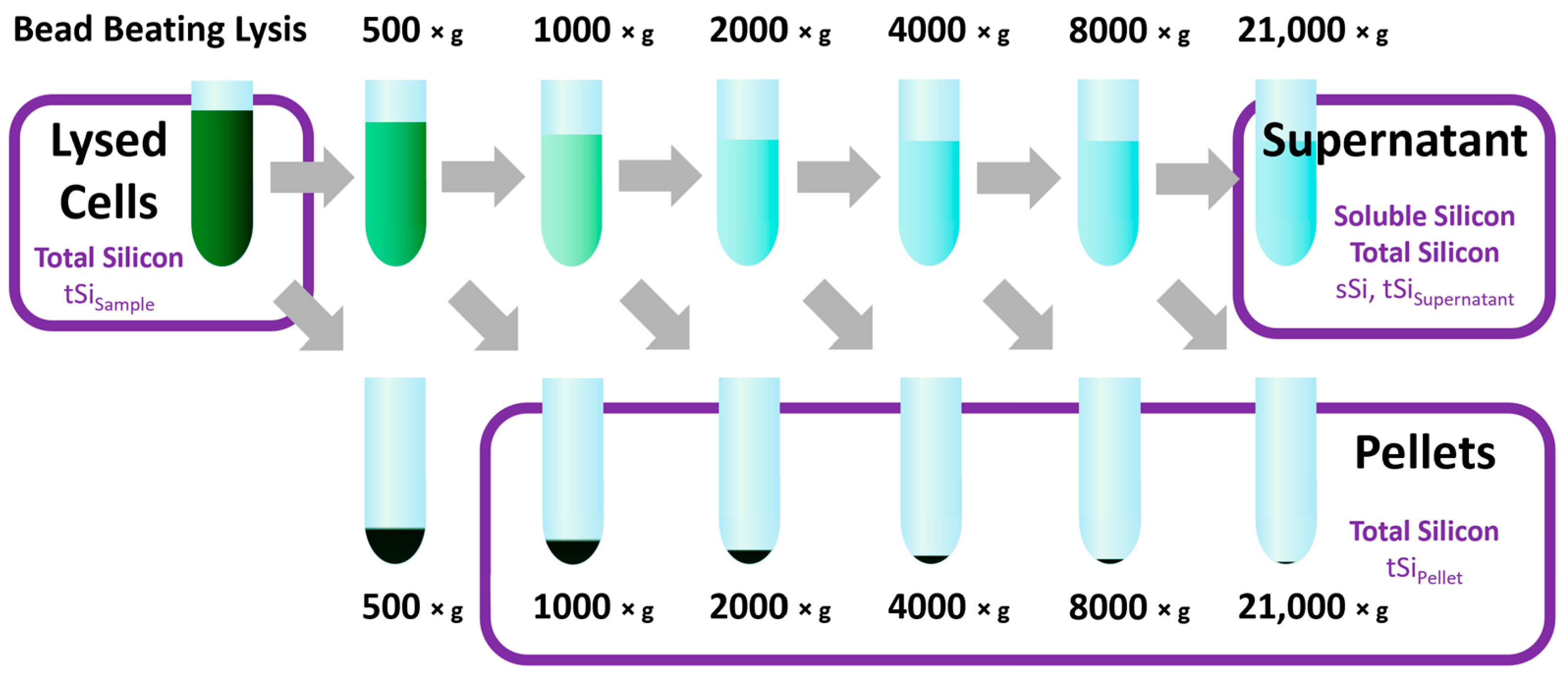 Minerals 13 00653 g003