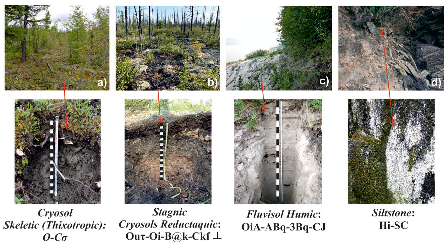 Minerals 13 00659 g002