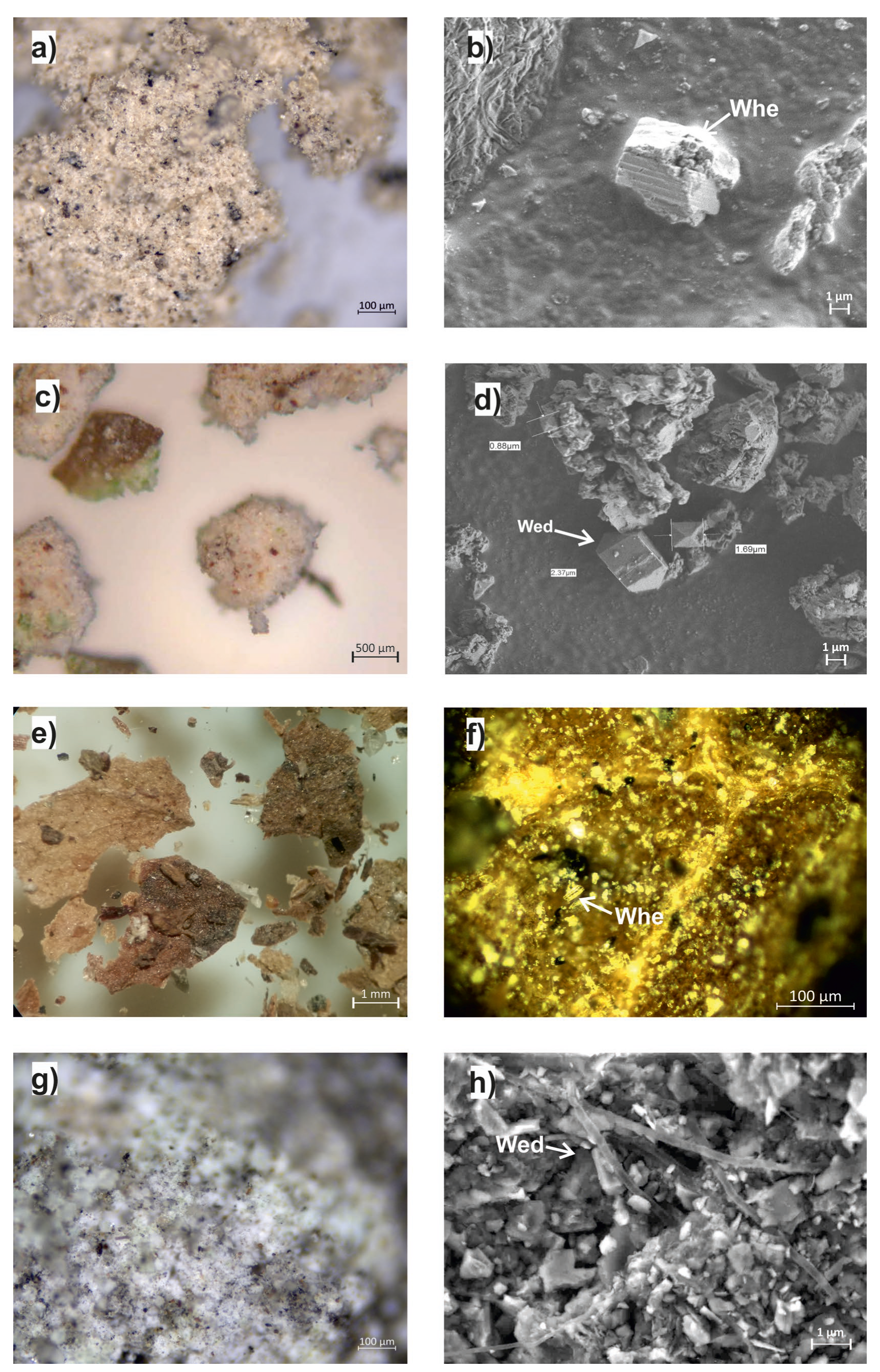 Minerals 13 00659 g004