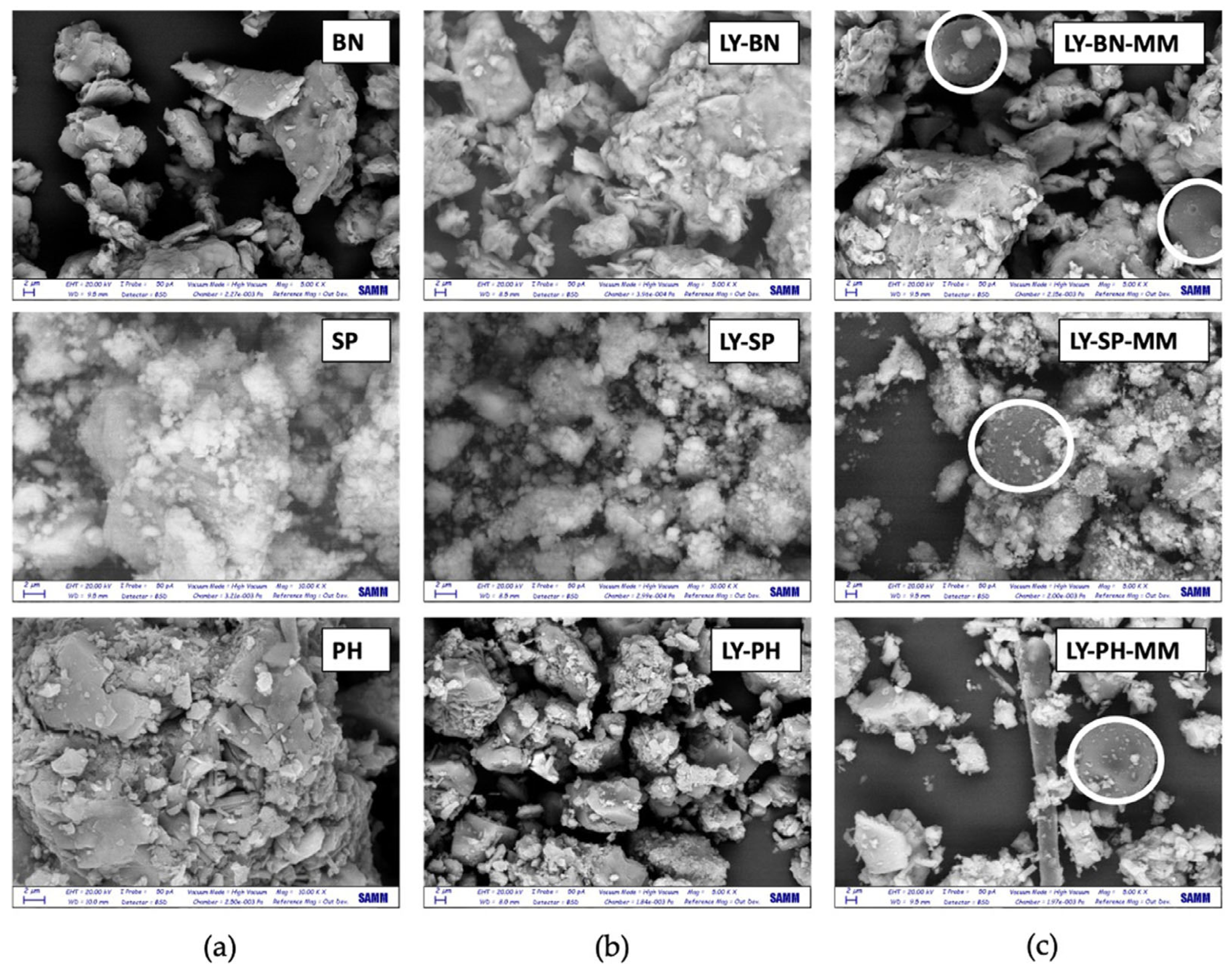 Minerals 13 00660 g010