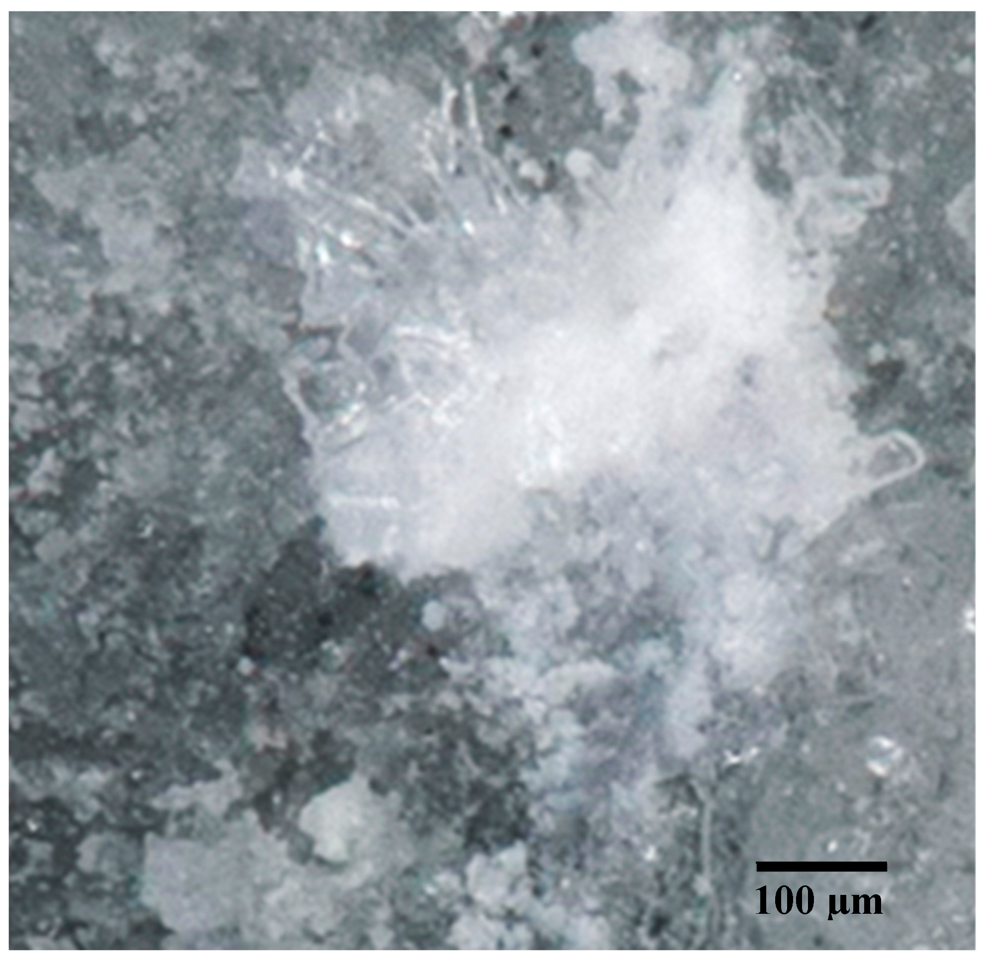 Minerals 13 00668 g001 Minerals 13 00668 g001