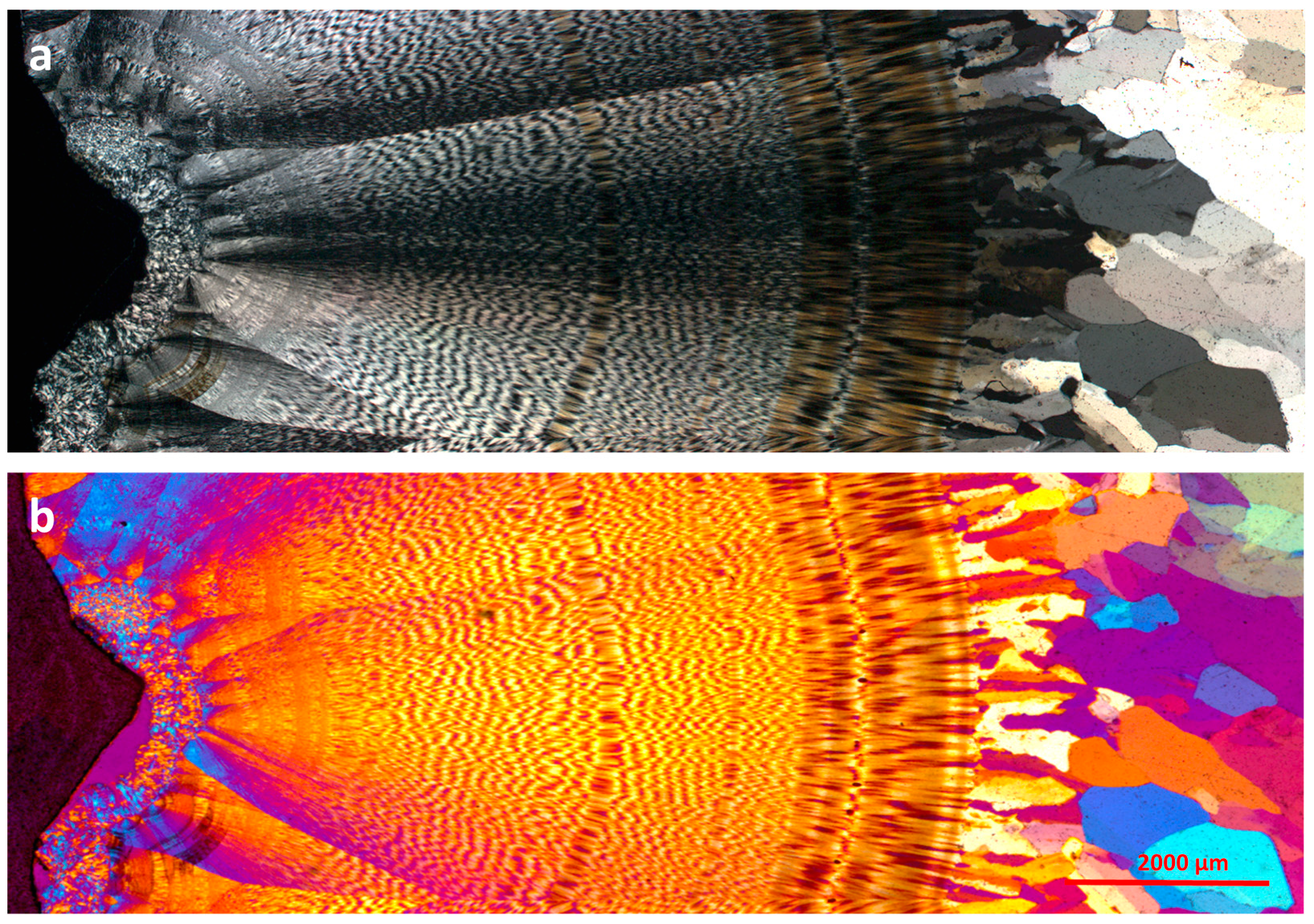 Minerals 13 00687 g007