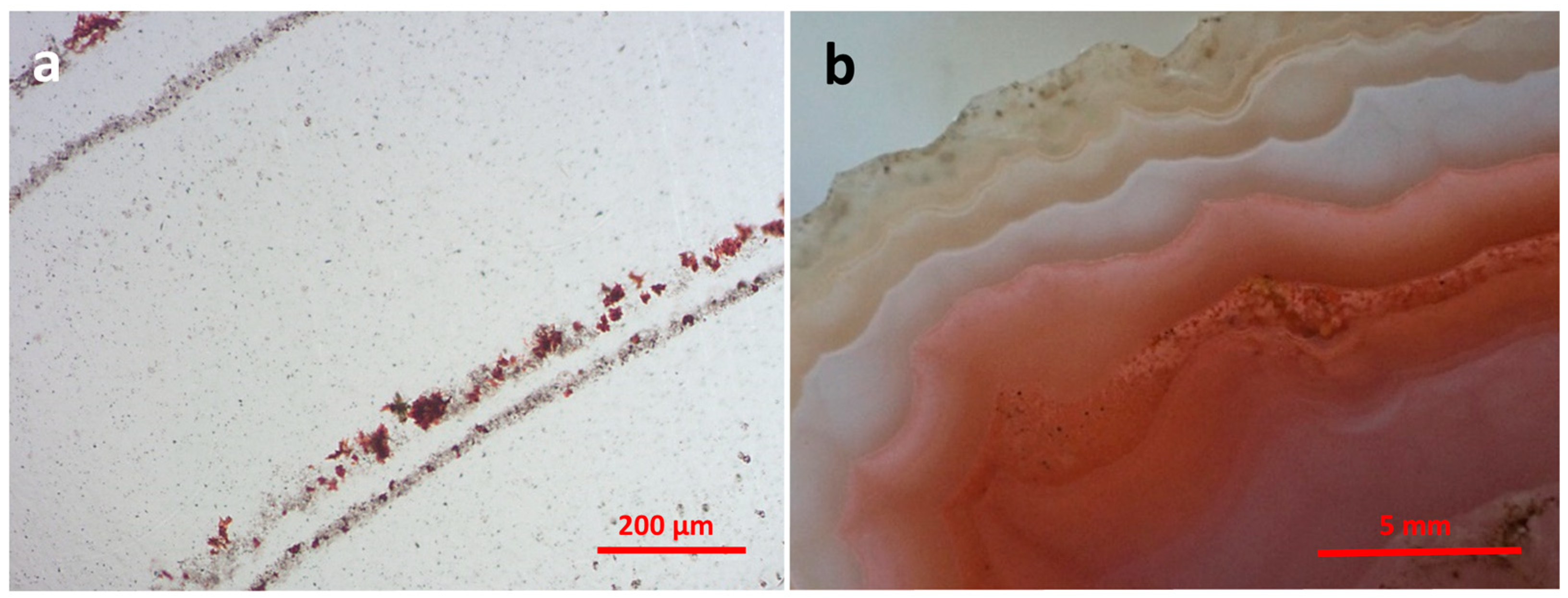 Minerals 13 00687 g014