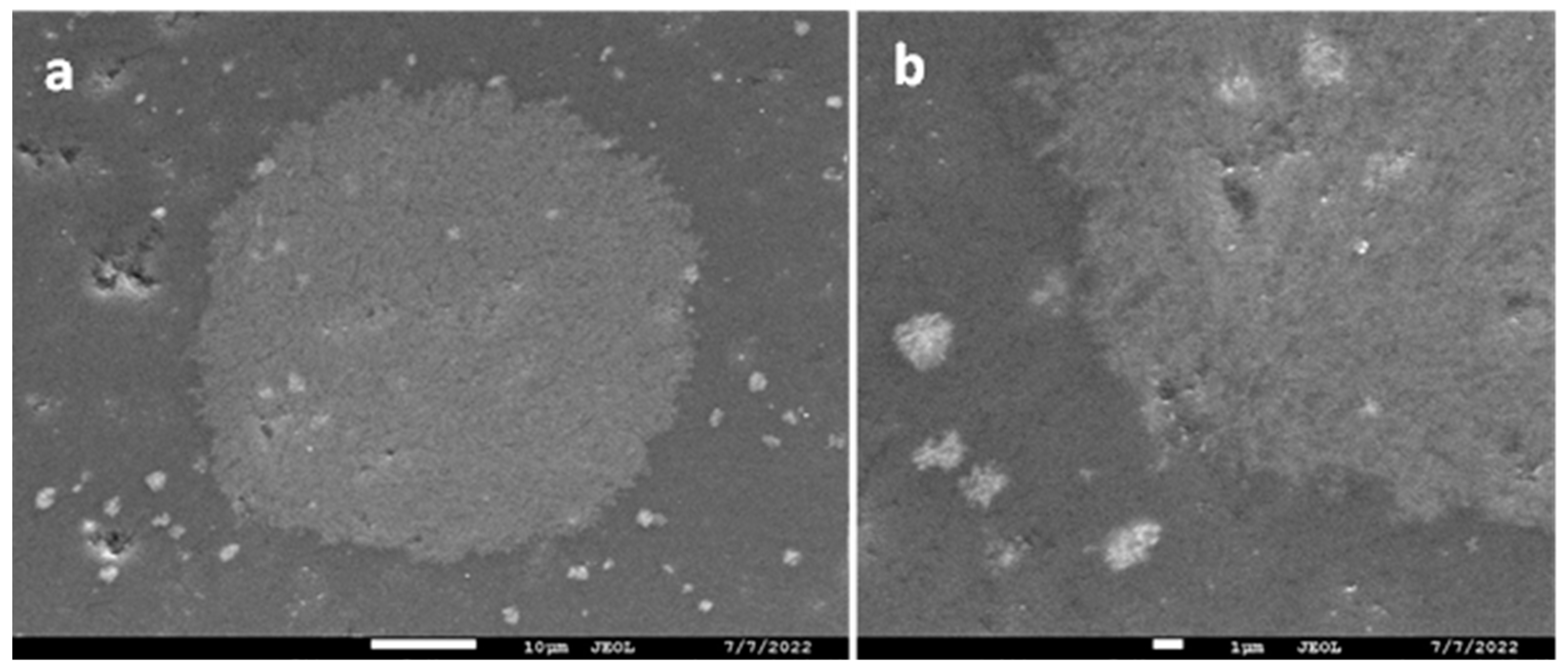 Minerals 13 00687 g018