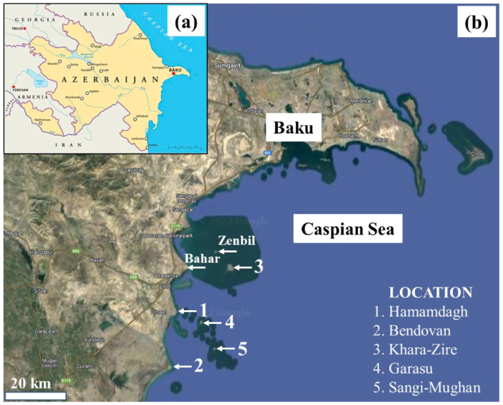 Minerals 13 00696 g001