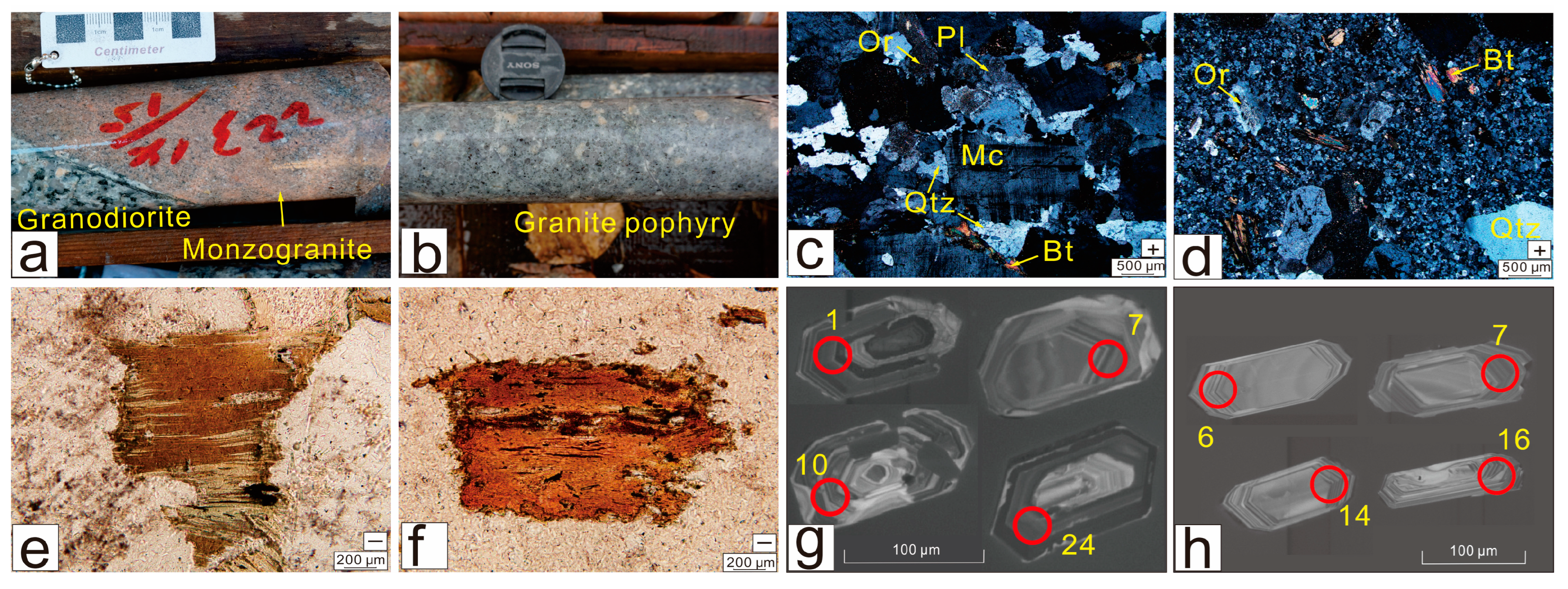 Minerals 13 00699 g005