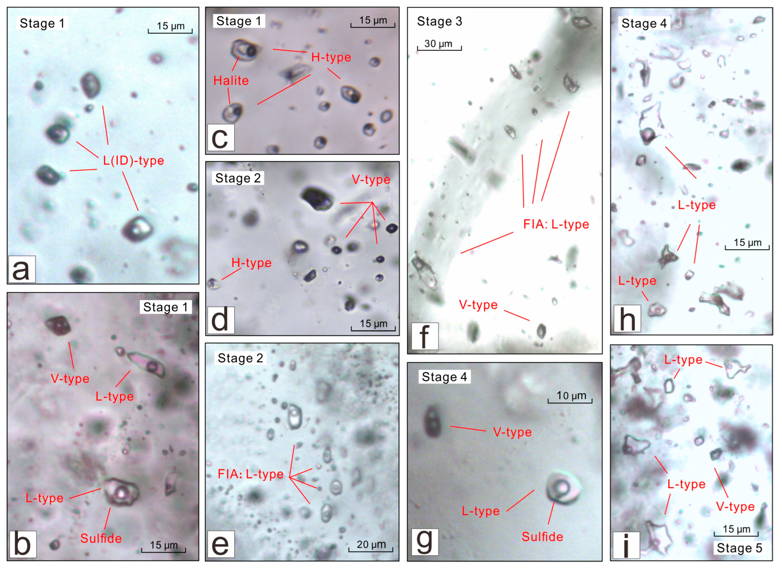 Minerals 13 00699 g006