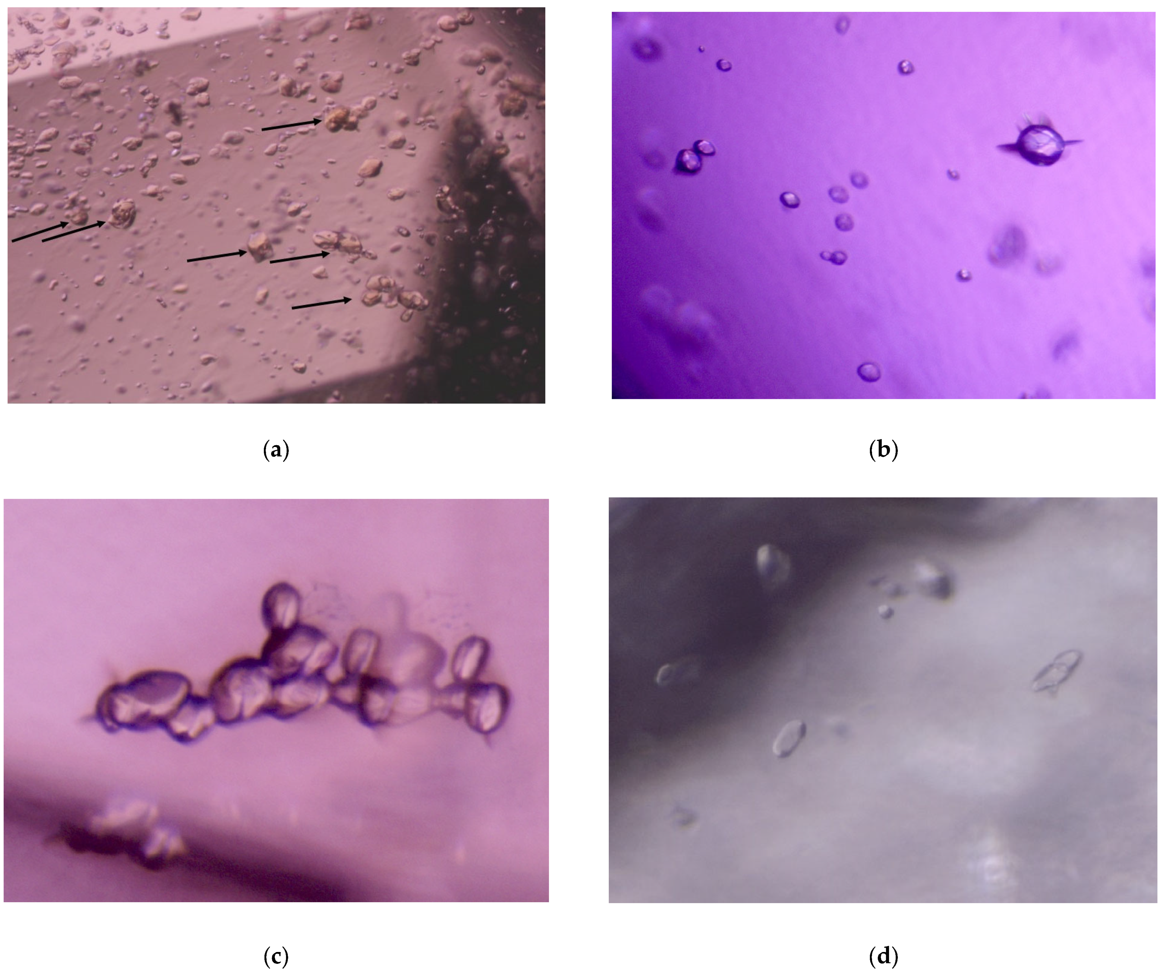 Minerals 13 00704 g002