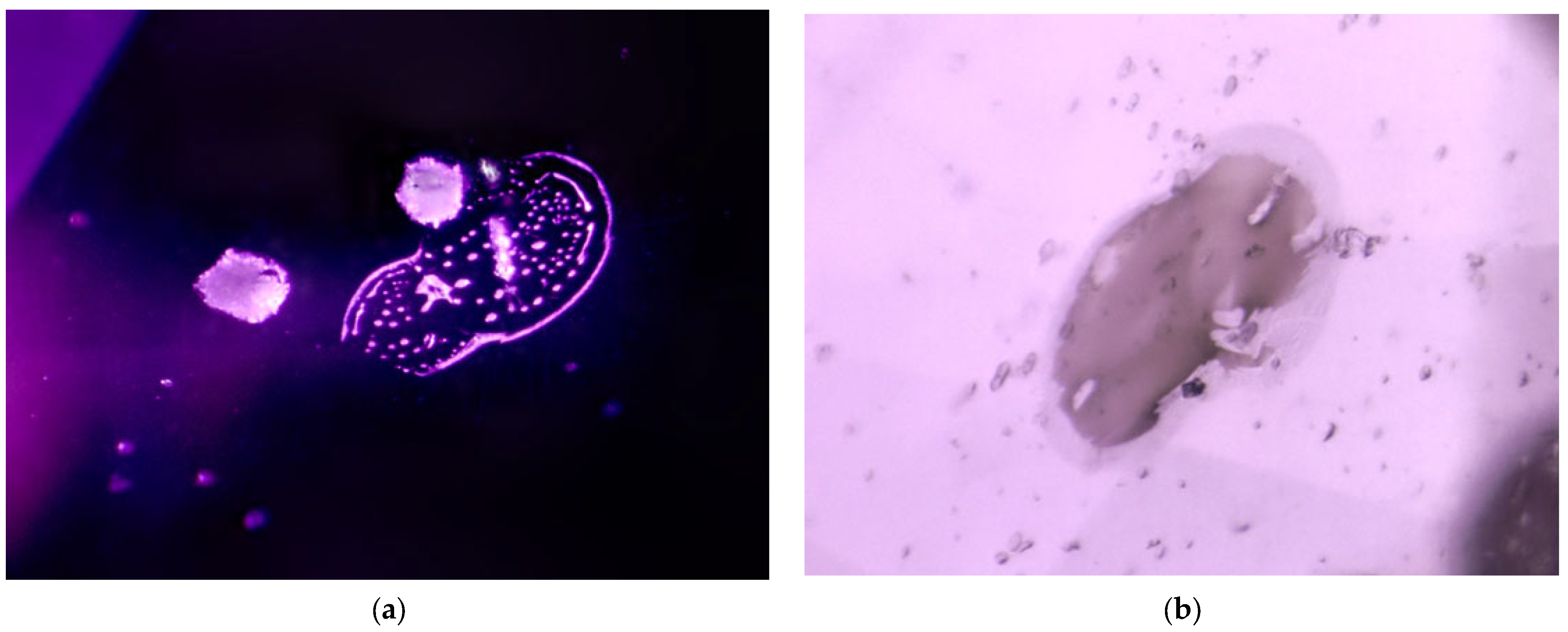 Minerals 13 00704 g003