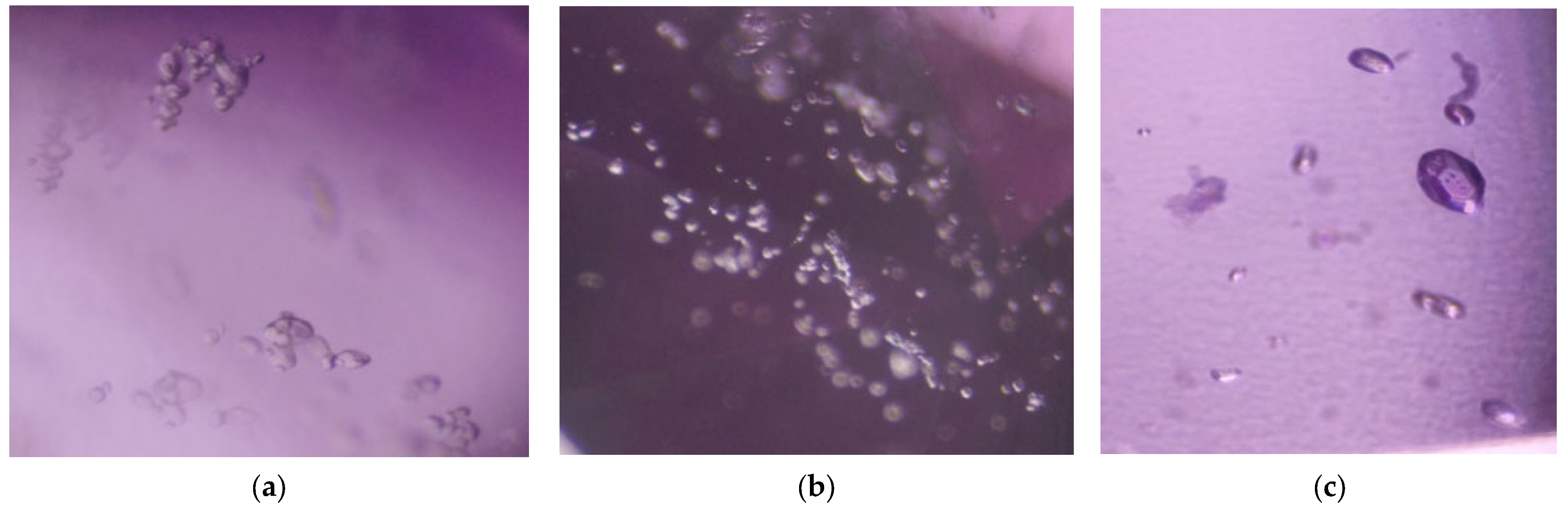 Minerals 13 00704 g005