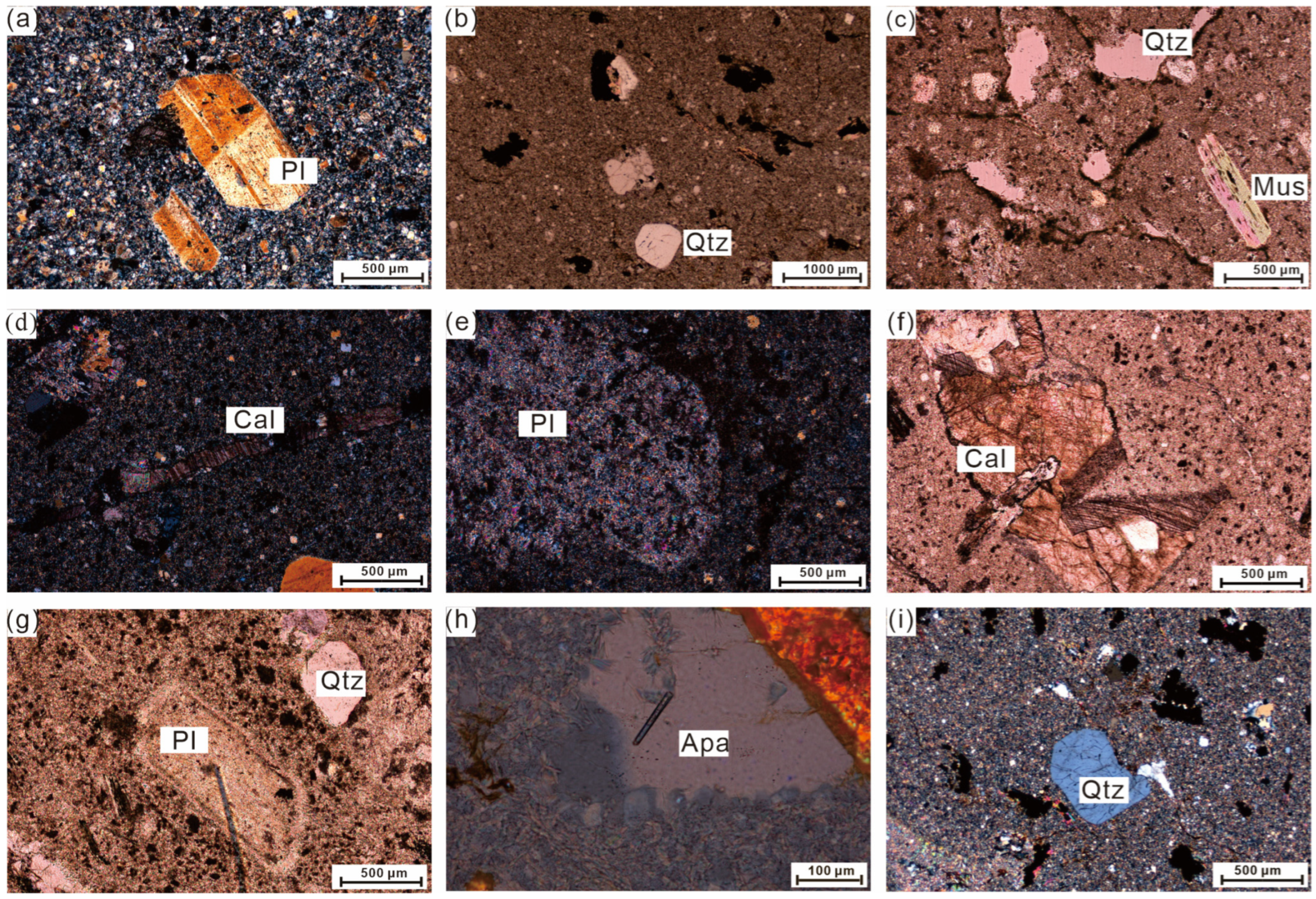Minerals 13 00718 g004