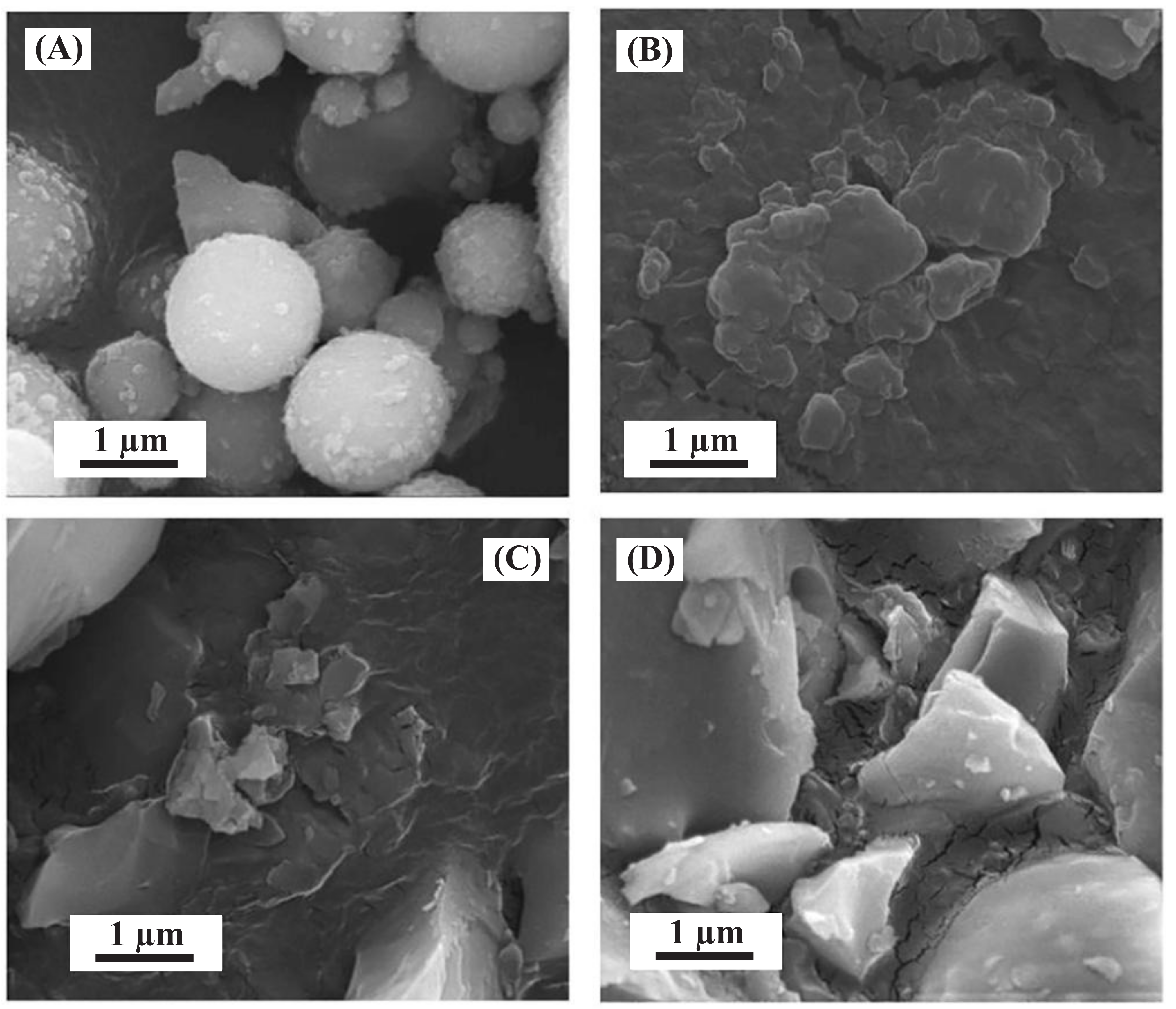 Minerals 13 00724 g004