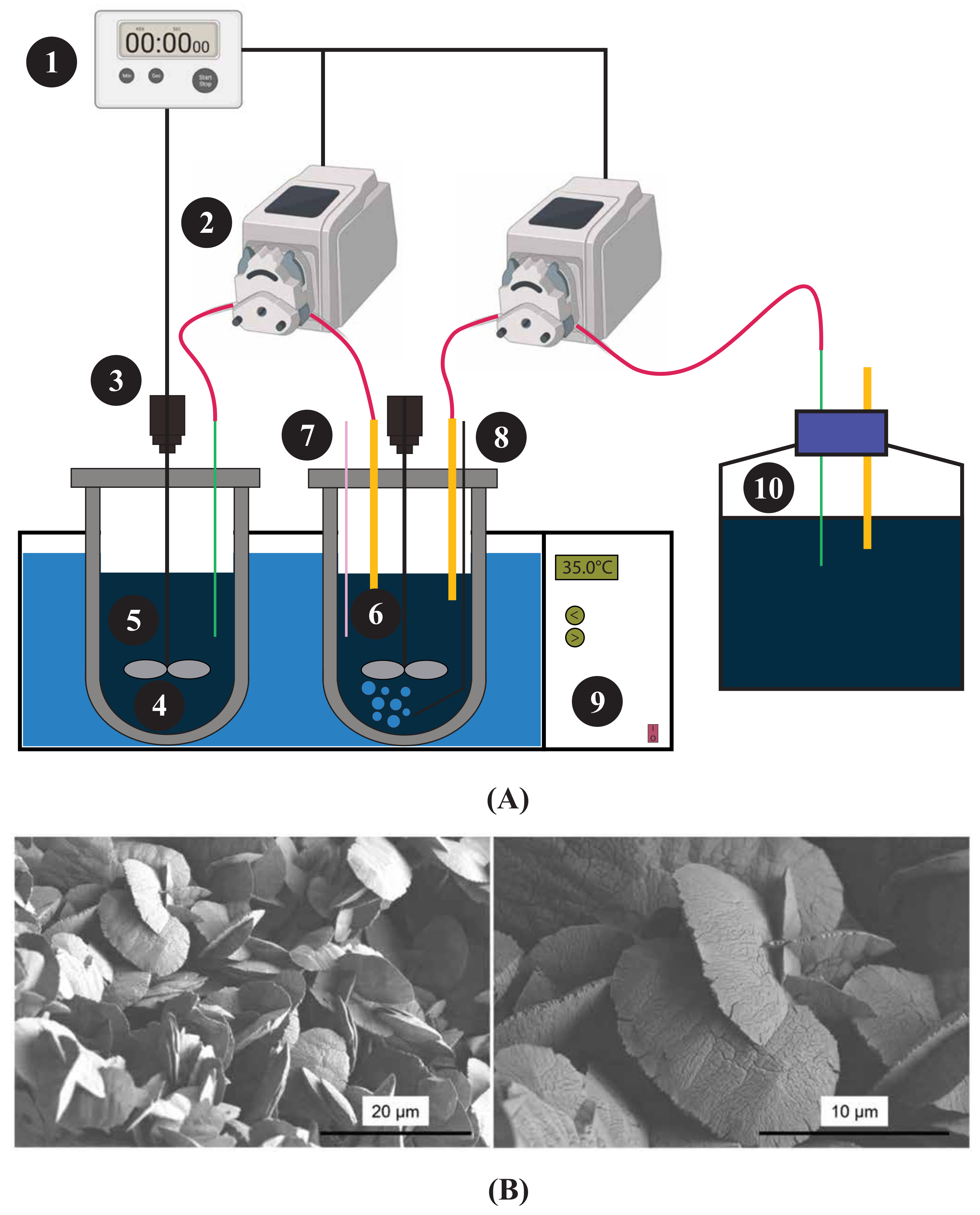 Minerals 13 00724 g005
