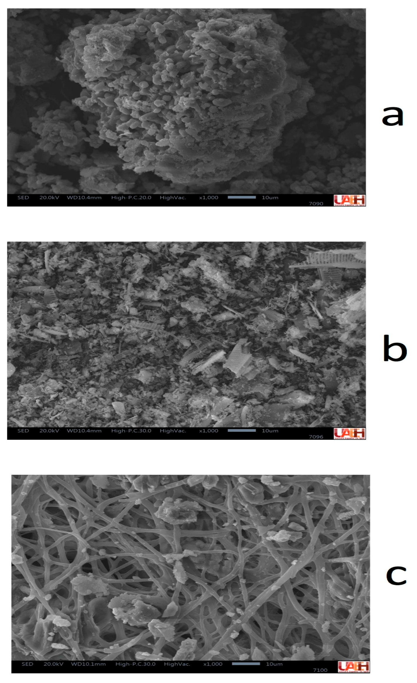 Minerals 13 00735 g004