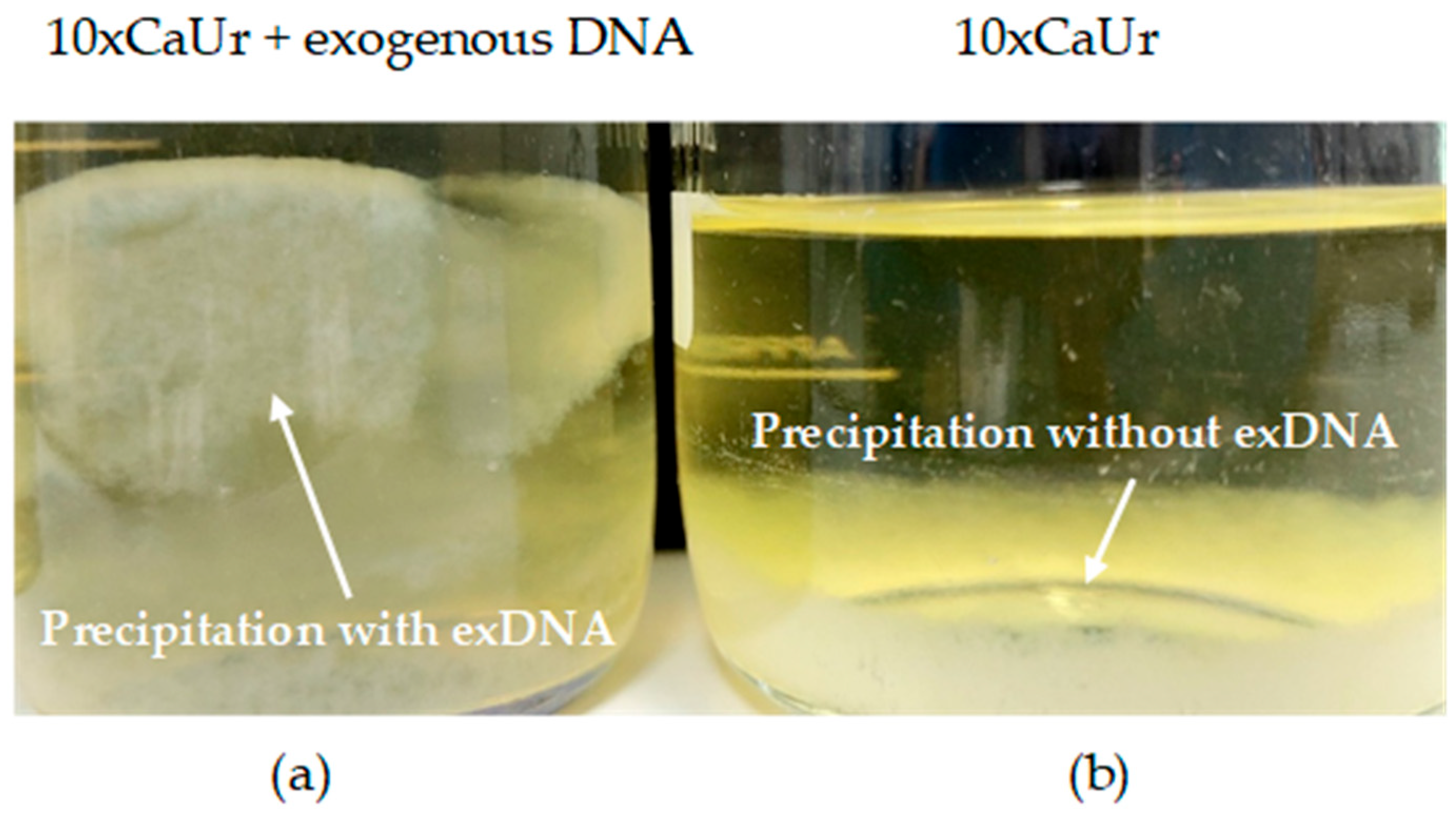Minerals 13 00740 g001