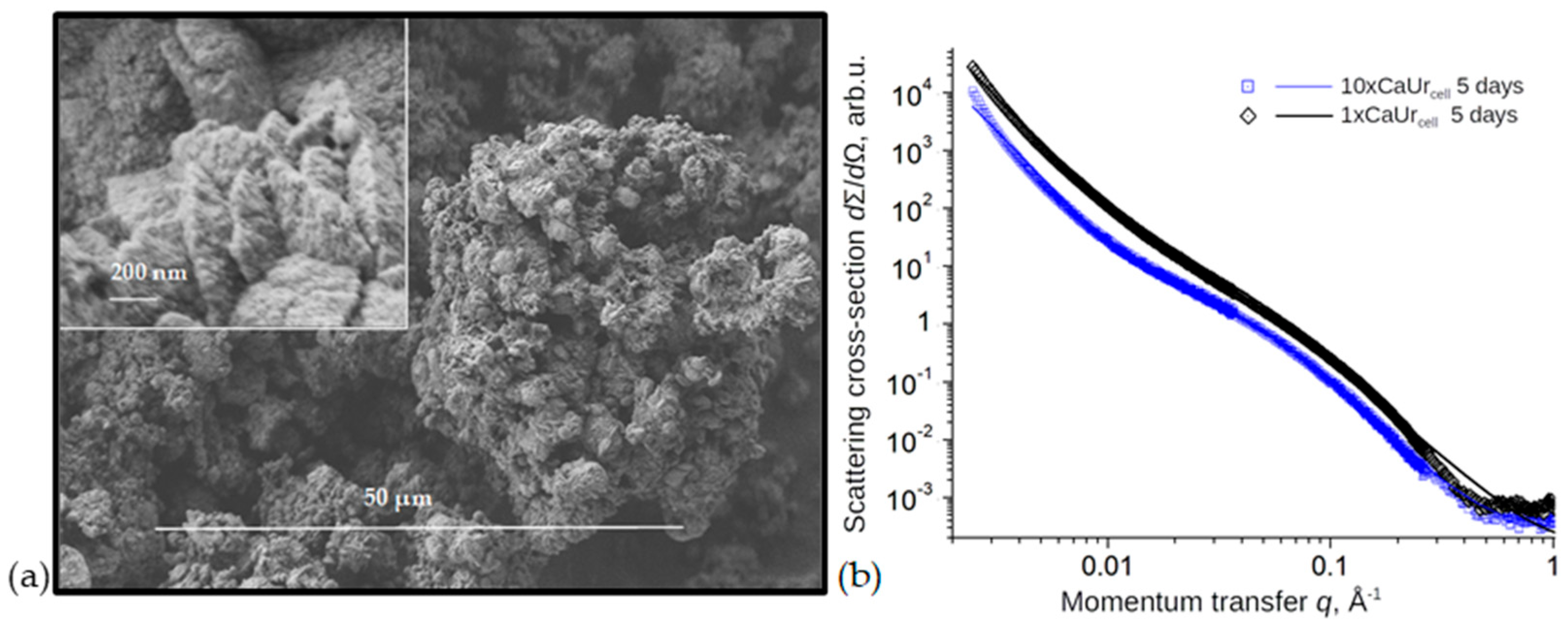 Minerals 13 00740 g009