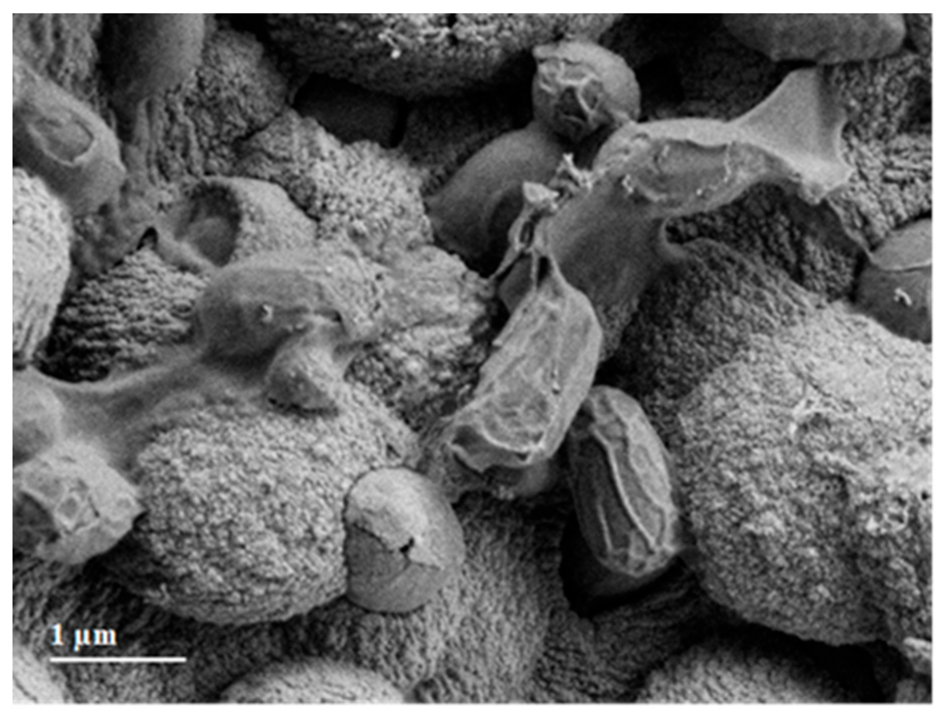 Minerals 13 00740 g0a2