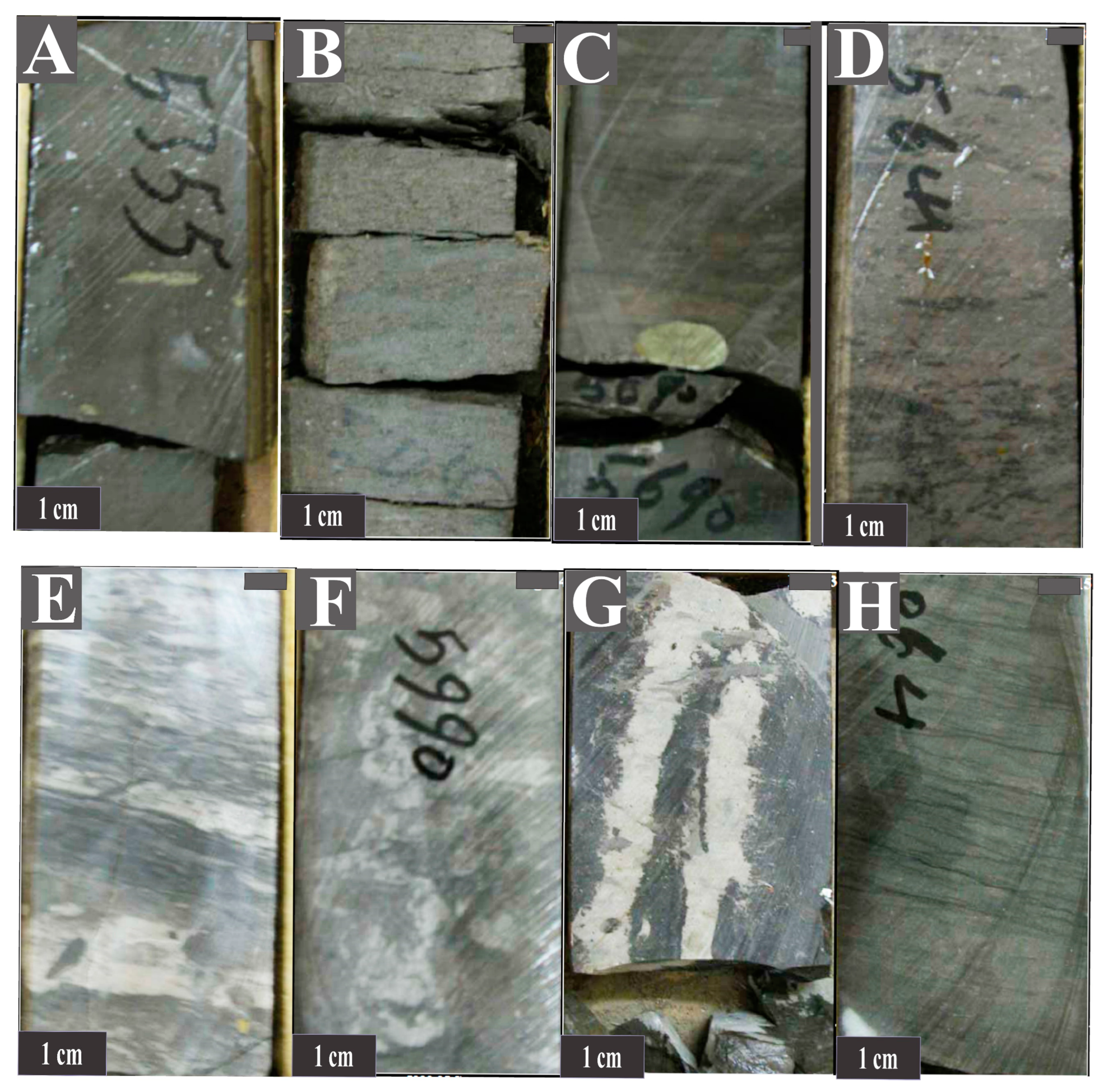 Minerals 13 00757 g005