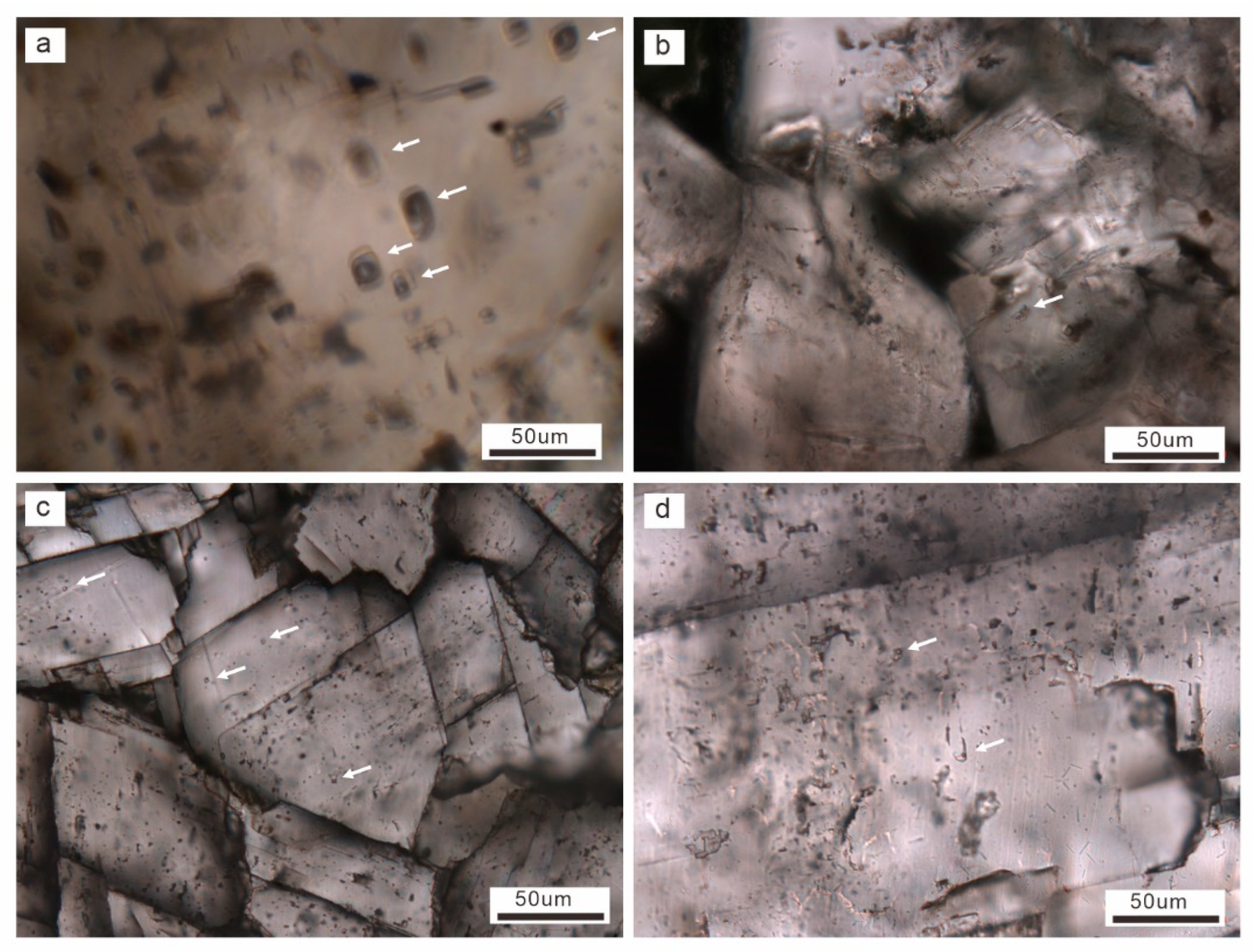Minerals 13 00758 g007
