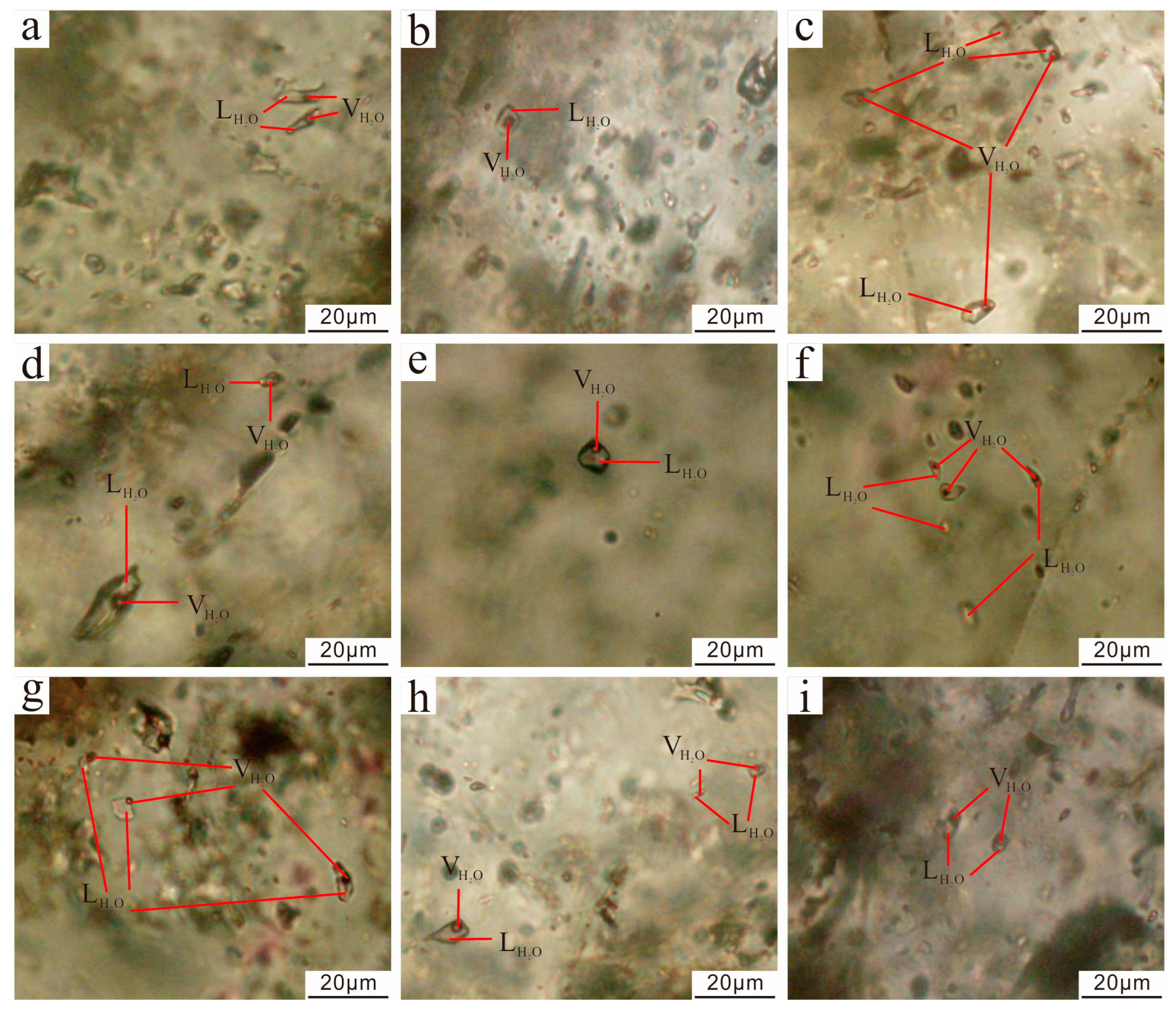 Minerals 13 00762 g009