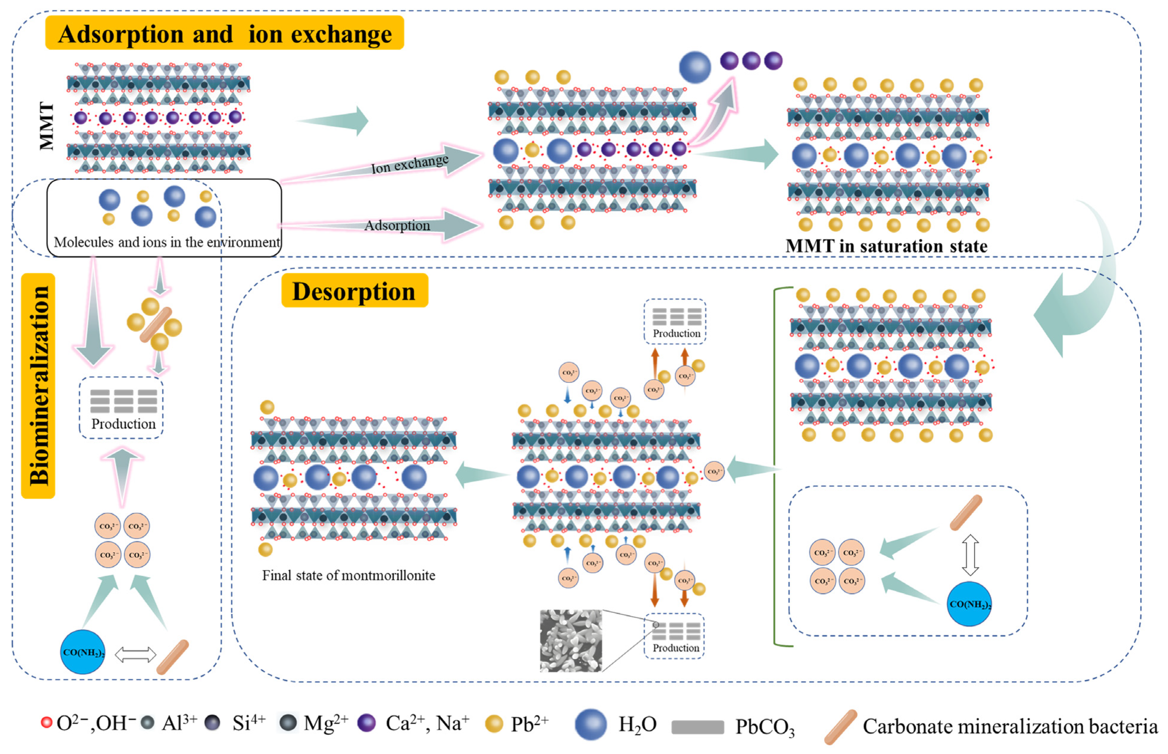 Minerals 13 00763 g007