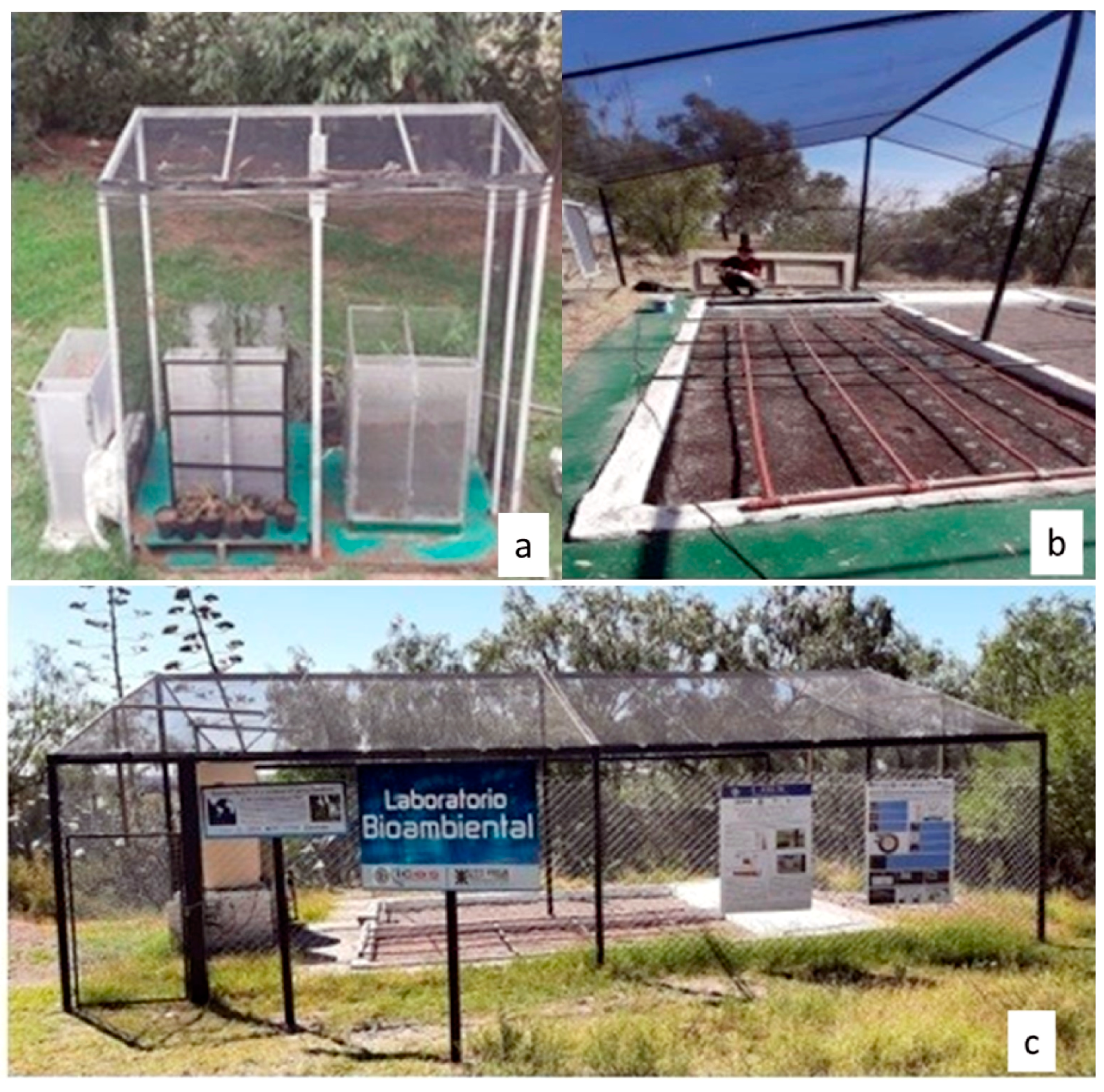 Minerals 13 00765 g002 Minerals 13 00765 g002