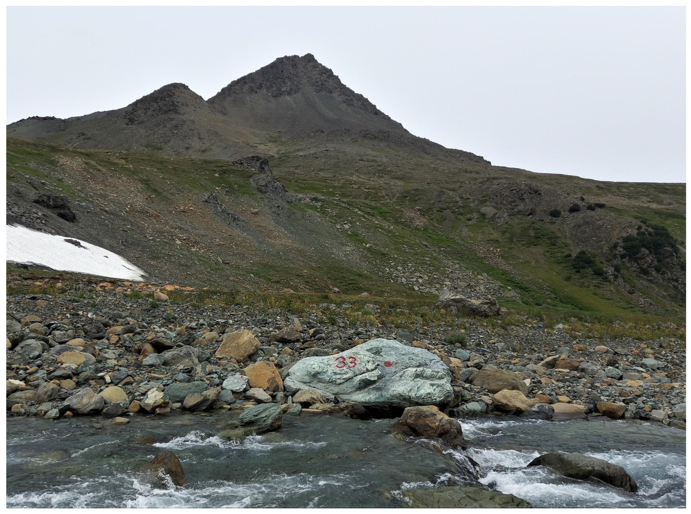 Minerals 13 00767 g004