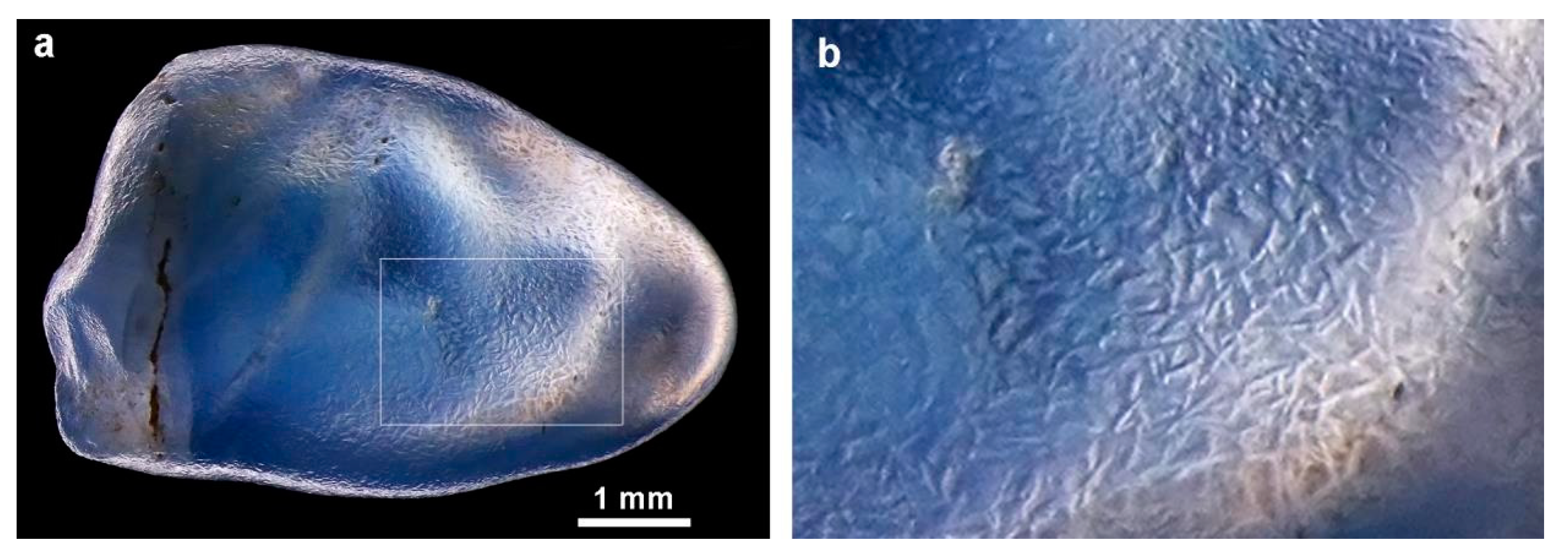 Minerals 13 00771 g003