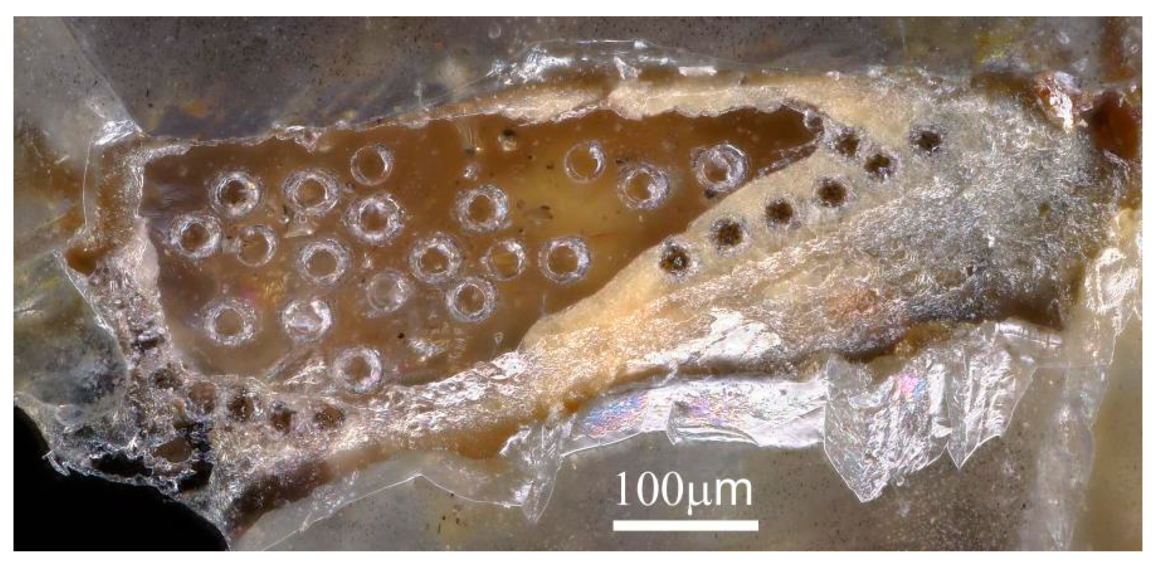 Minerals 13 00771 g008