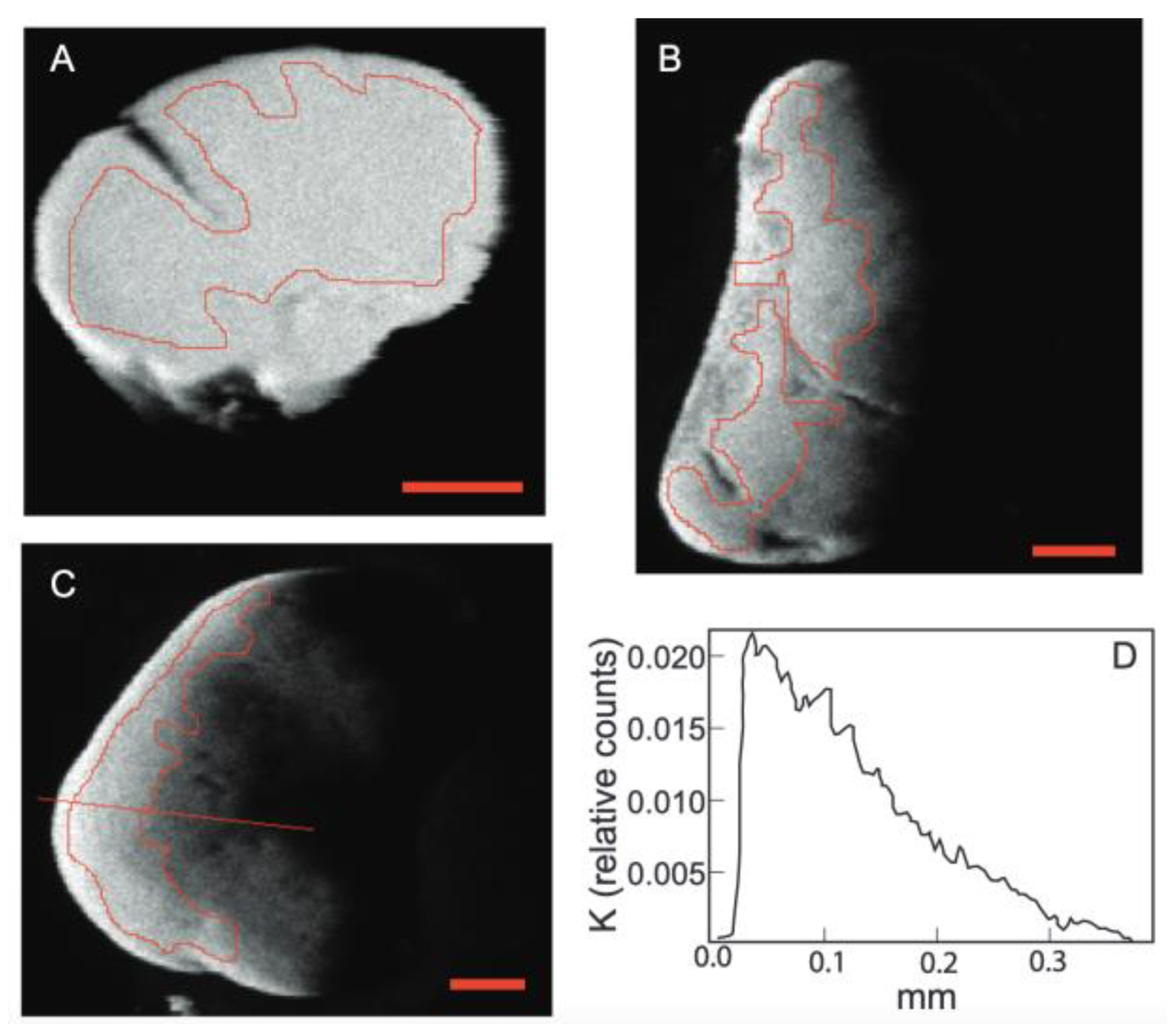 Minerals 13 00773 g004