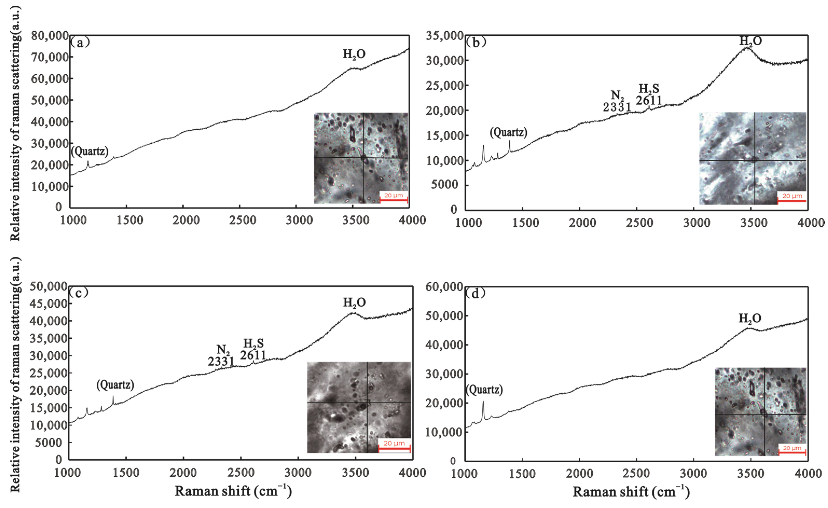 Minerals 13 00780 g006