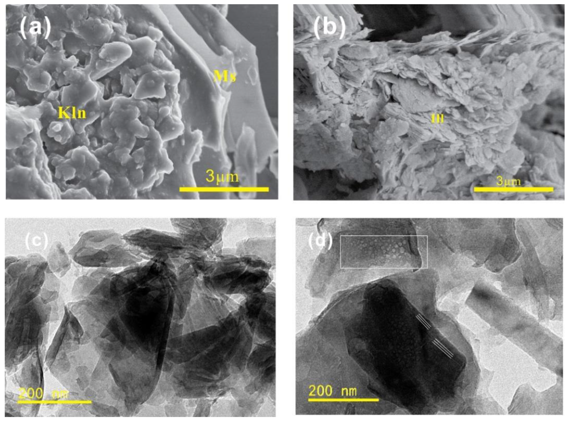 Minerals 13 00784 g011