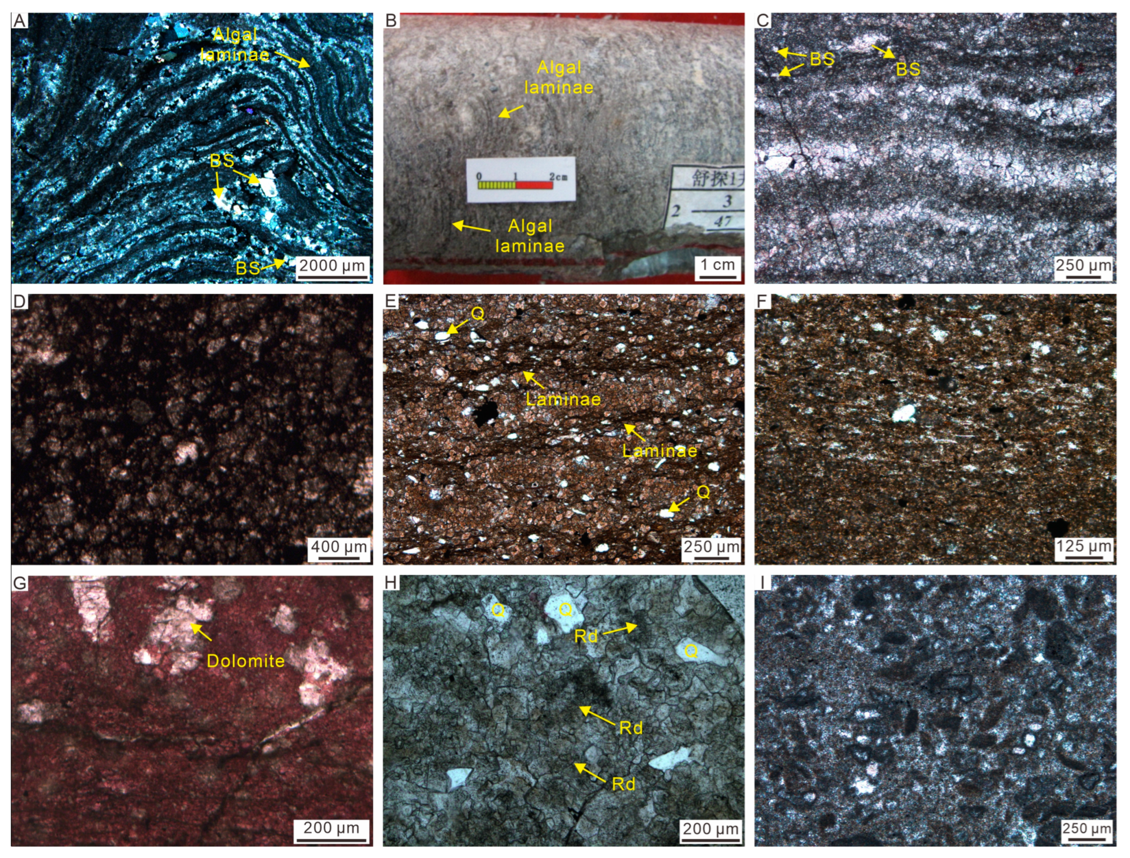 Minerals 13 00791 g005