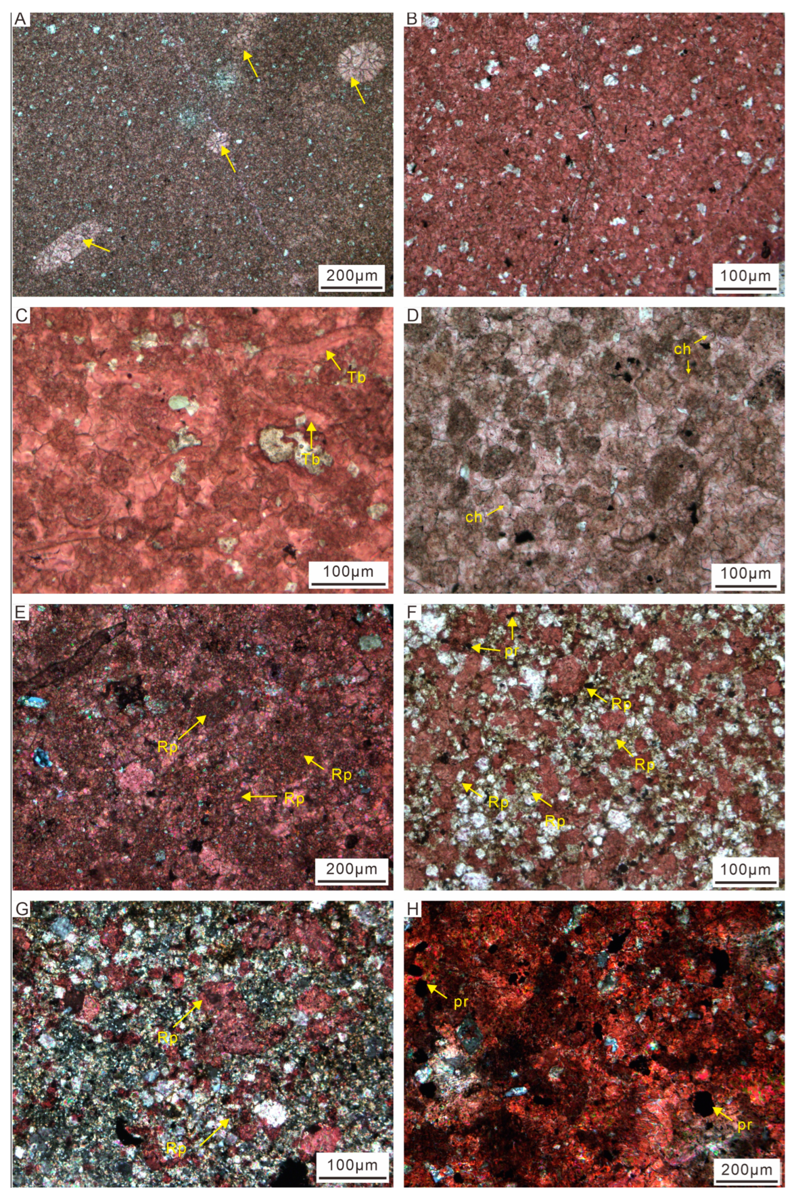 Minerals 13 00791 g008