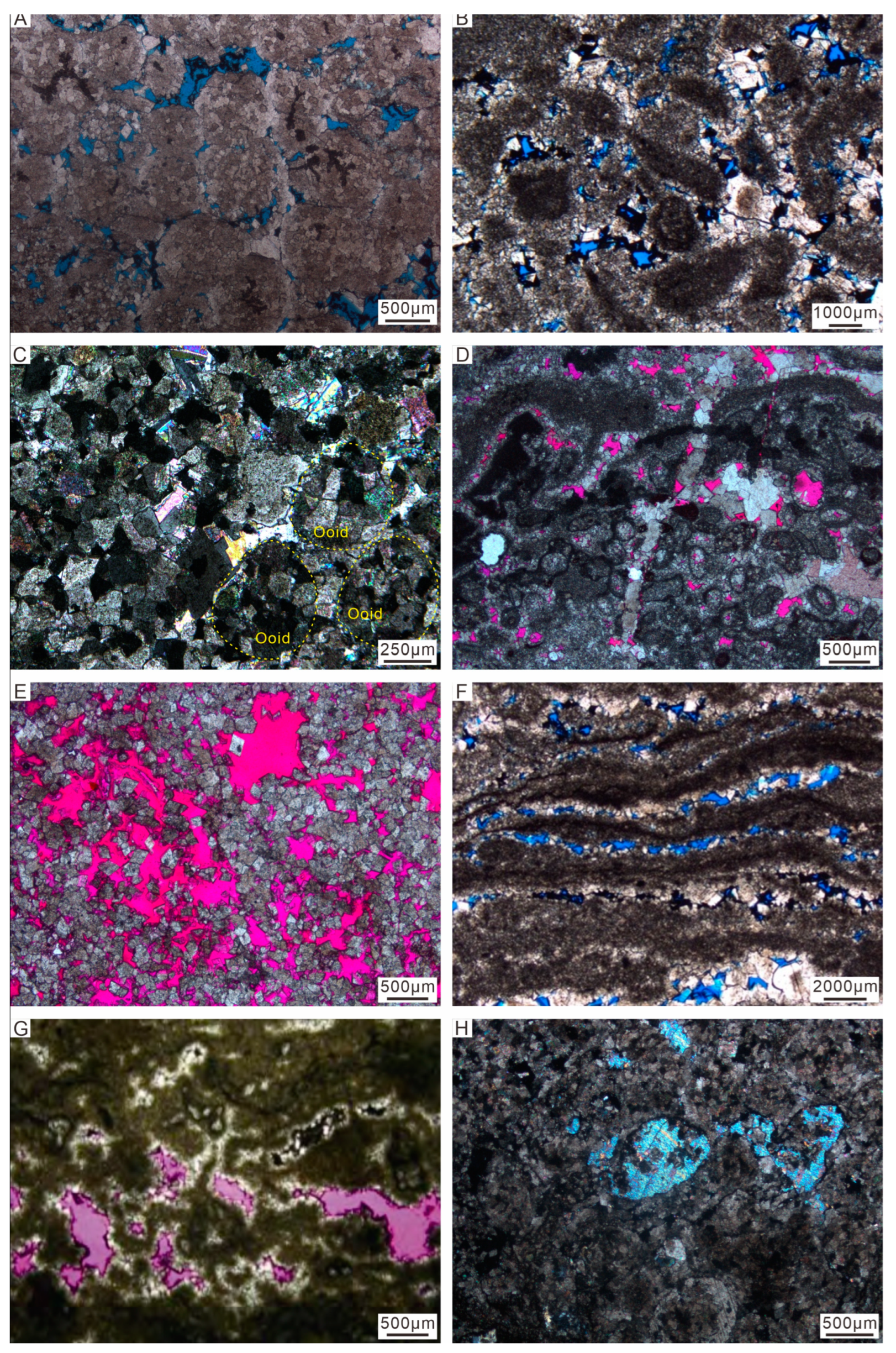 Minerals 13 00791 g012