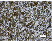 Minerals 13 00805 i003 Minerals 13 00805 i003