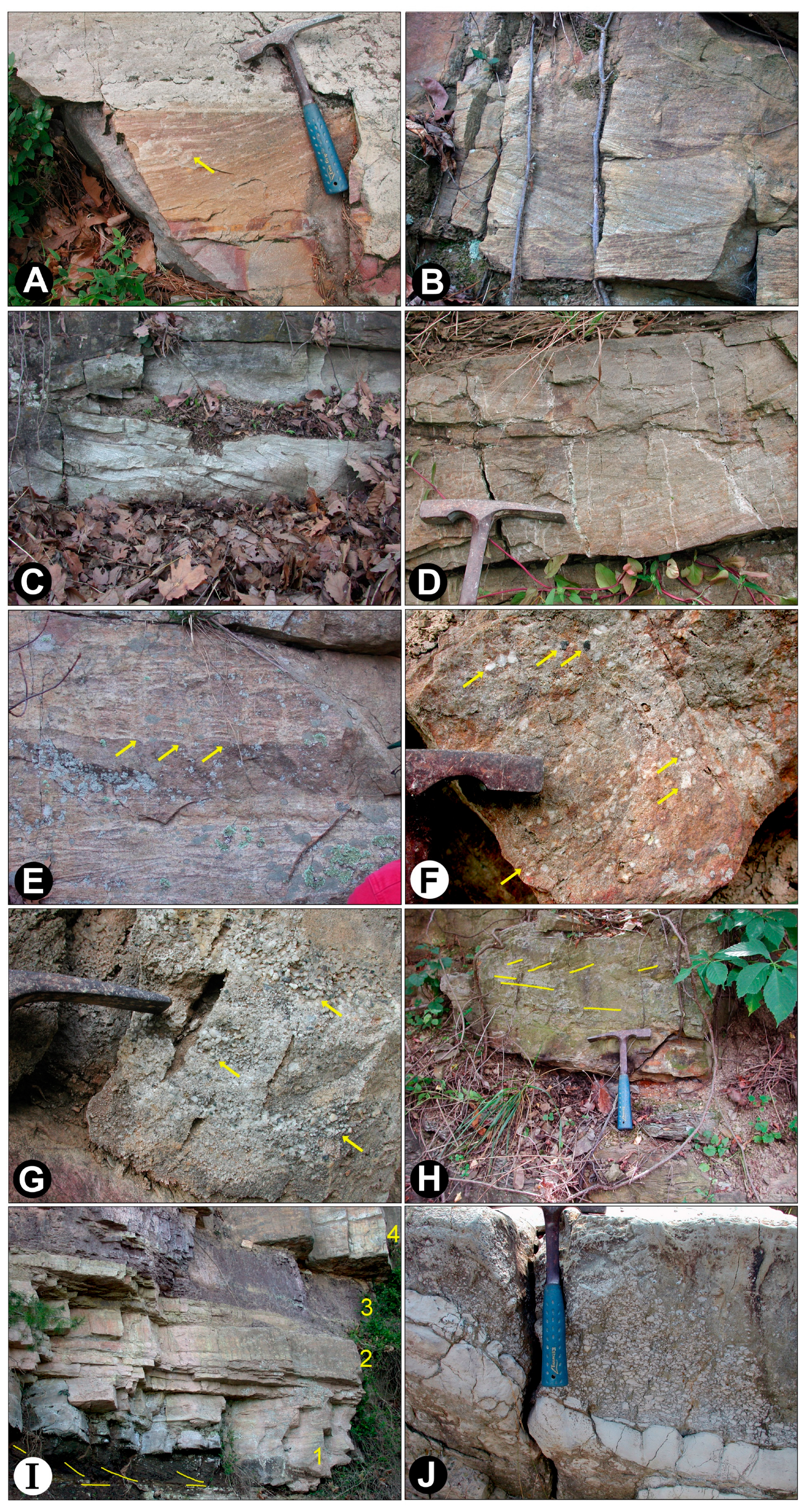 Minerals 13 00807 g008