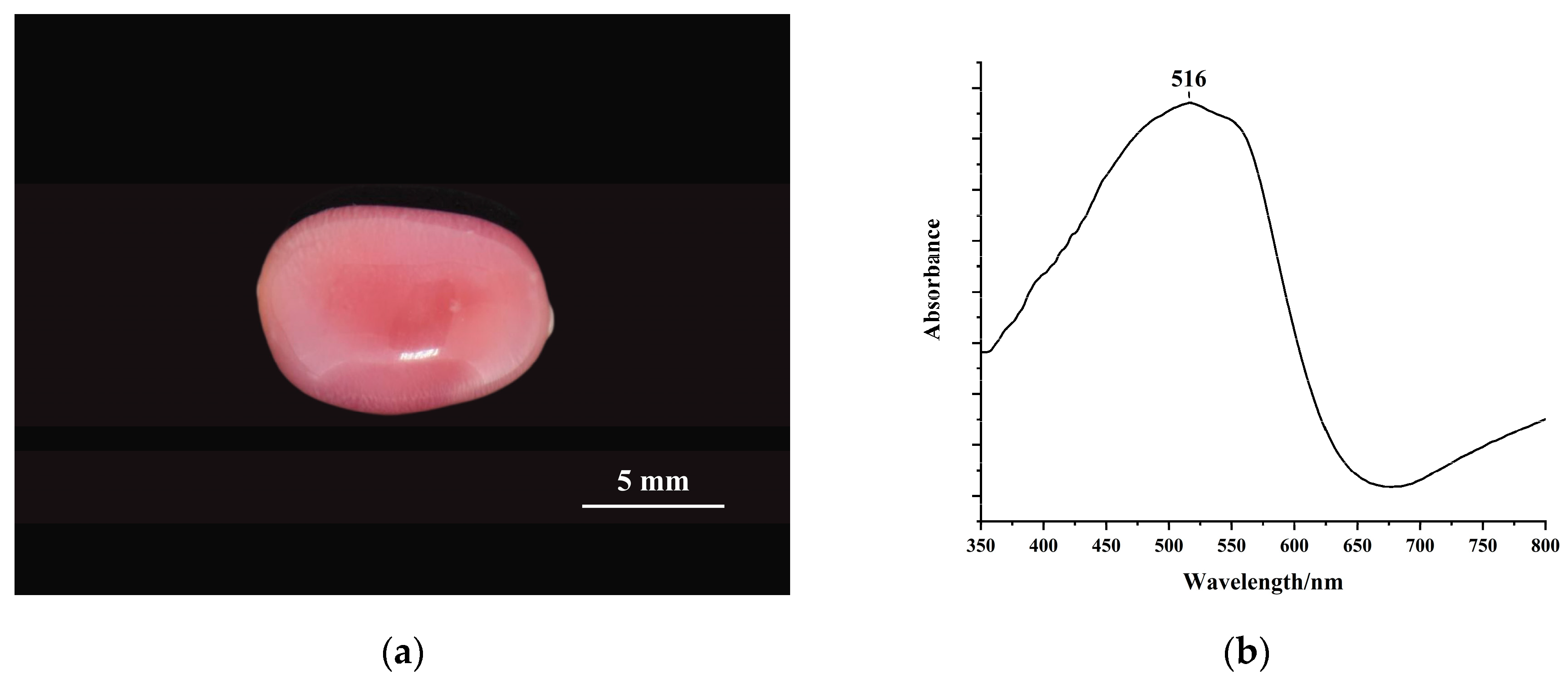 Minerals 13 00811 g001