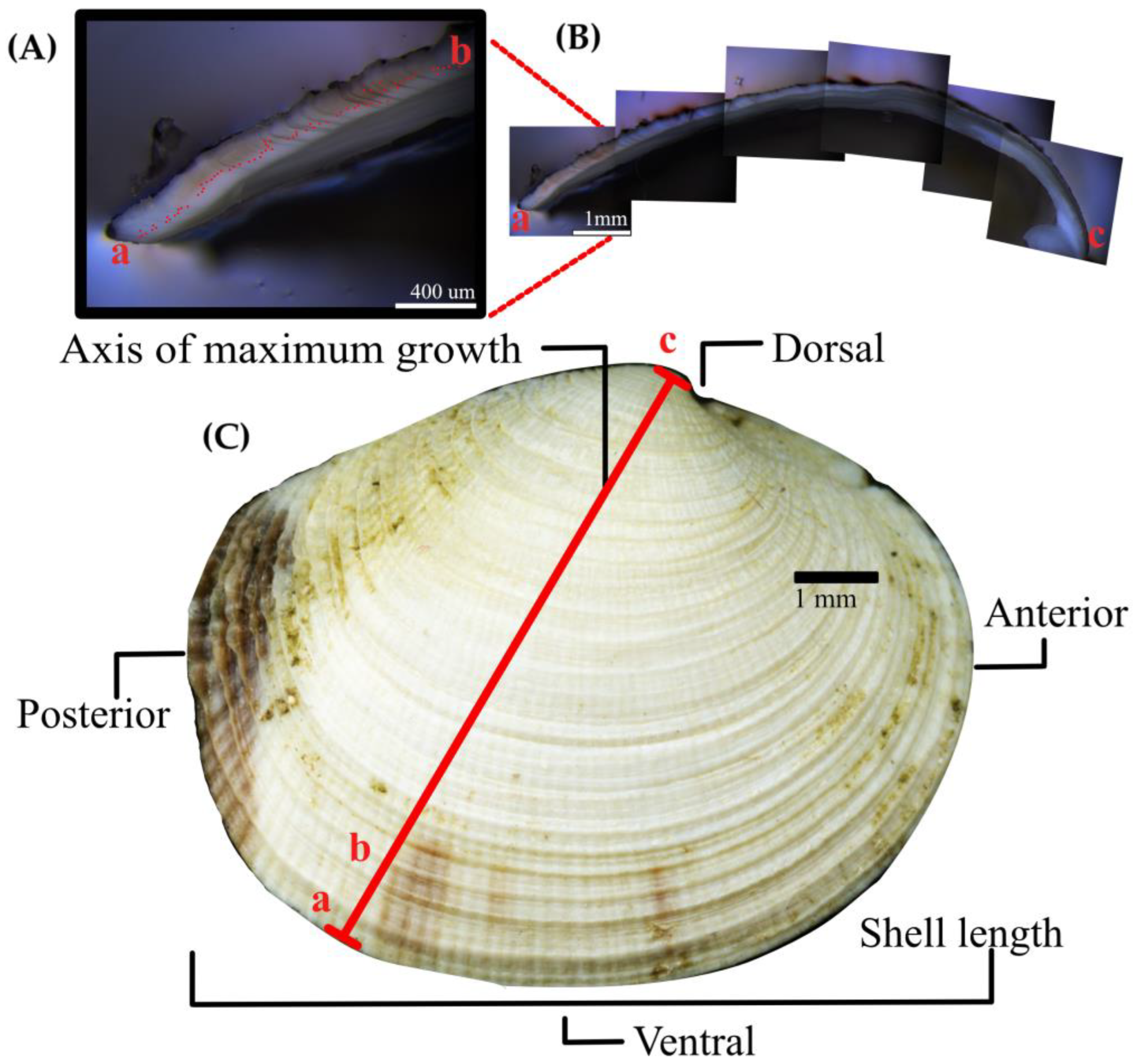 Minerals 13 00814 g001
