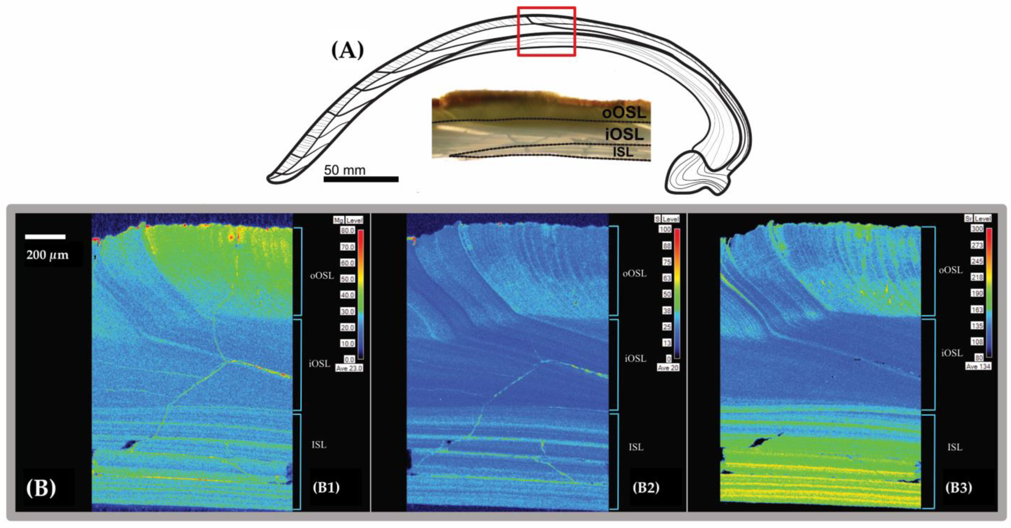 Minerals 13 00814 g005