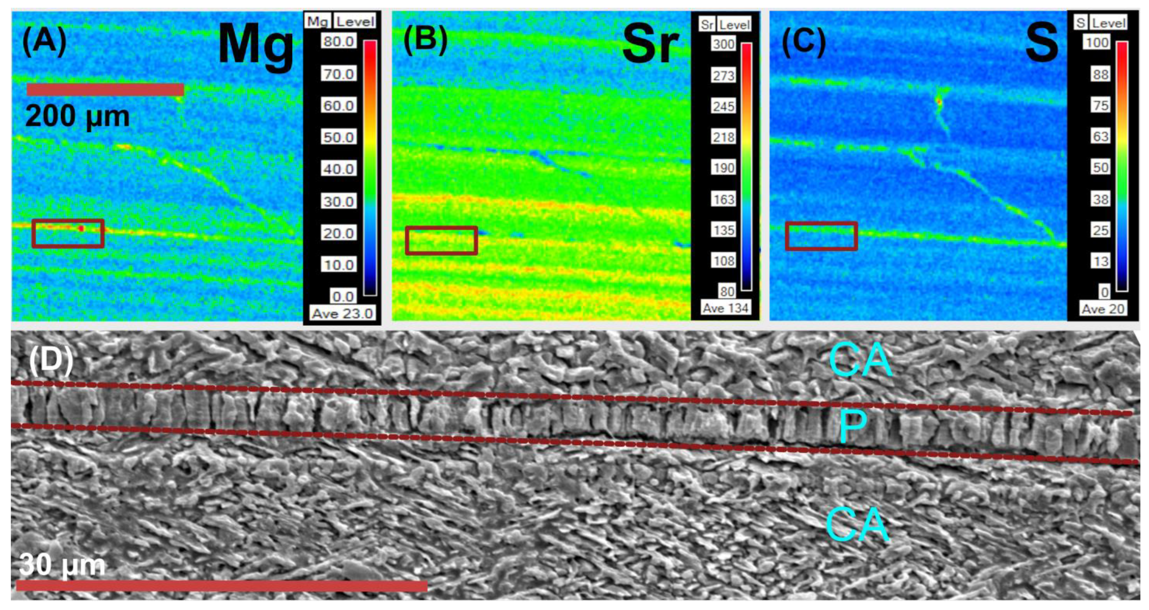 Minerals 13 00814 g006