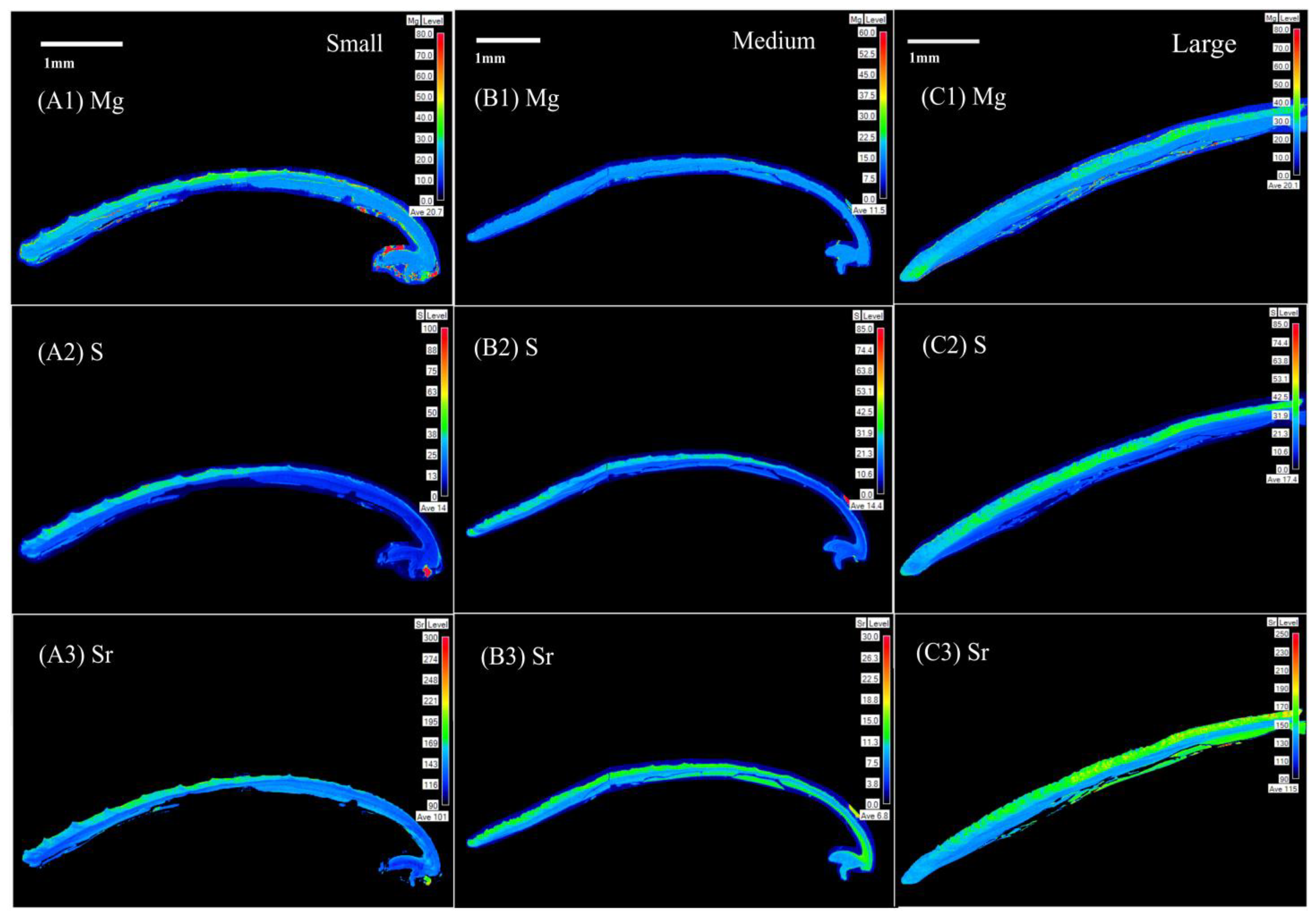 Minerals 13 00814 g007