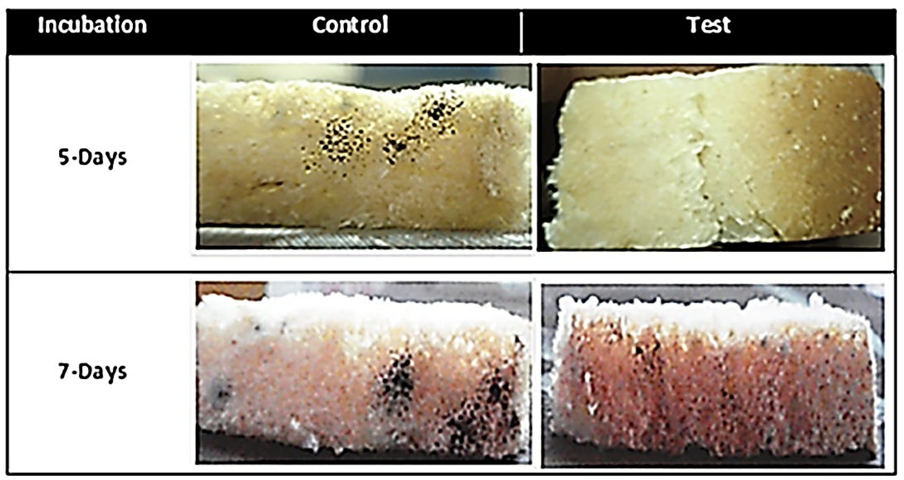 Minerals 13 00817 g011