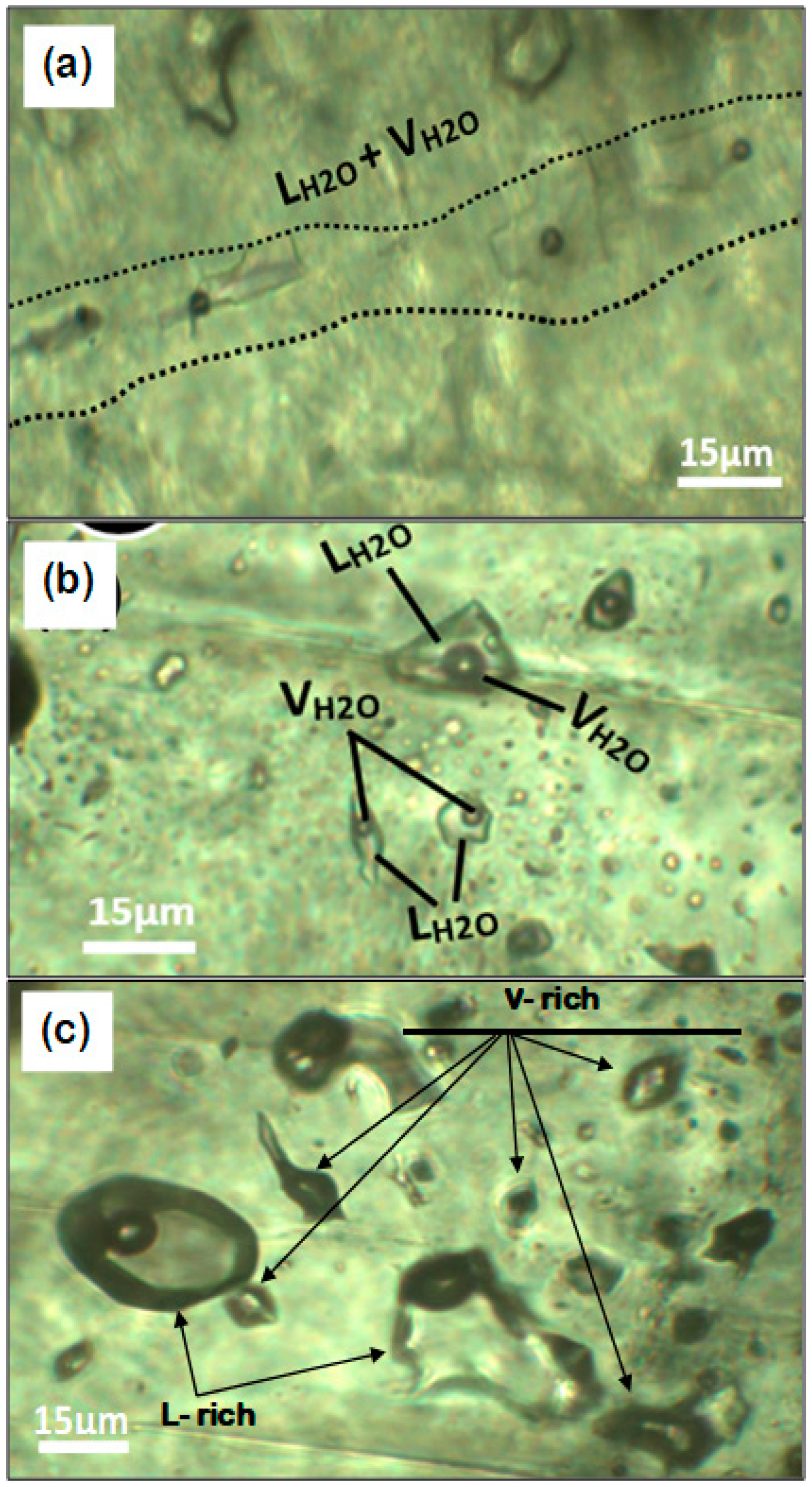 Minerals 13 00836 g006