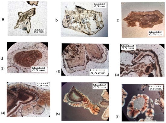Minerals 13 00841 g004