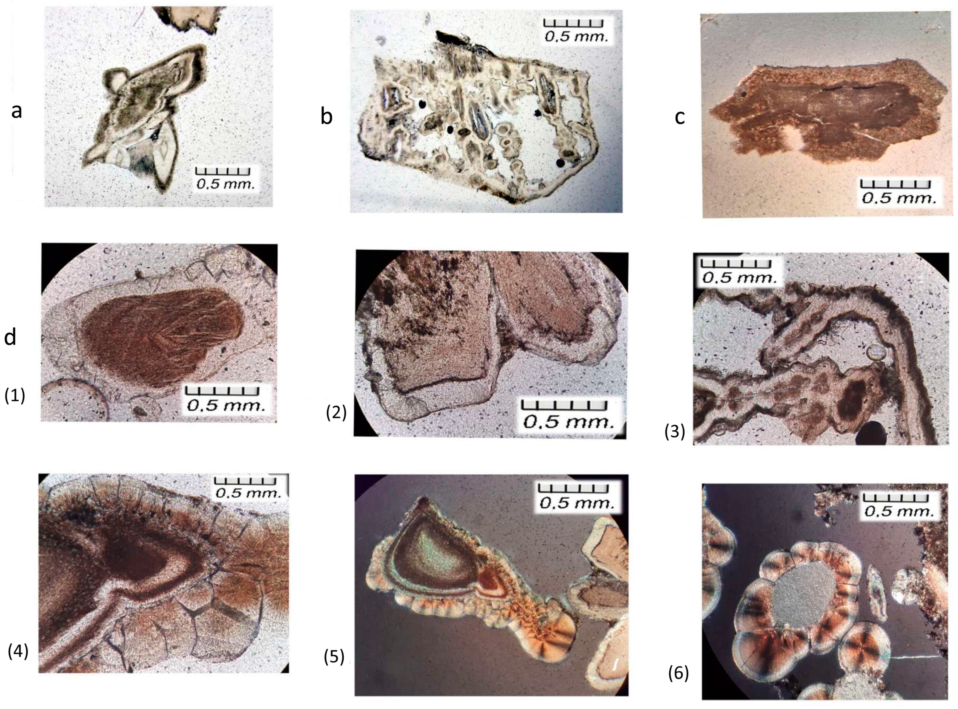 Minerals 13 00841 g004
