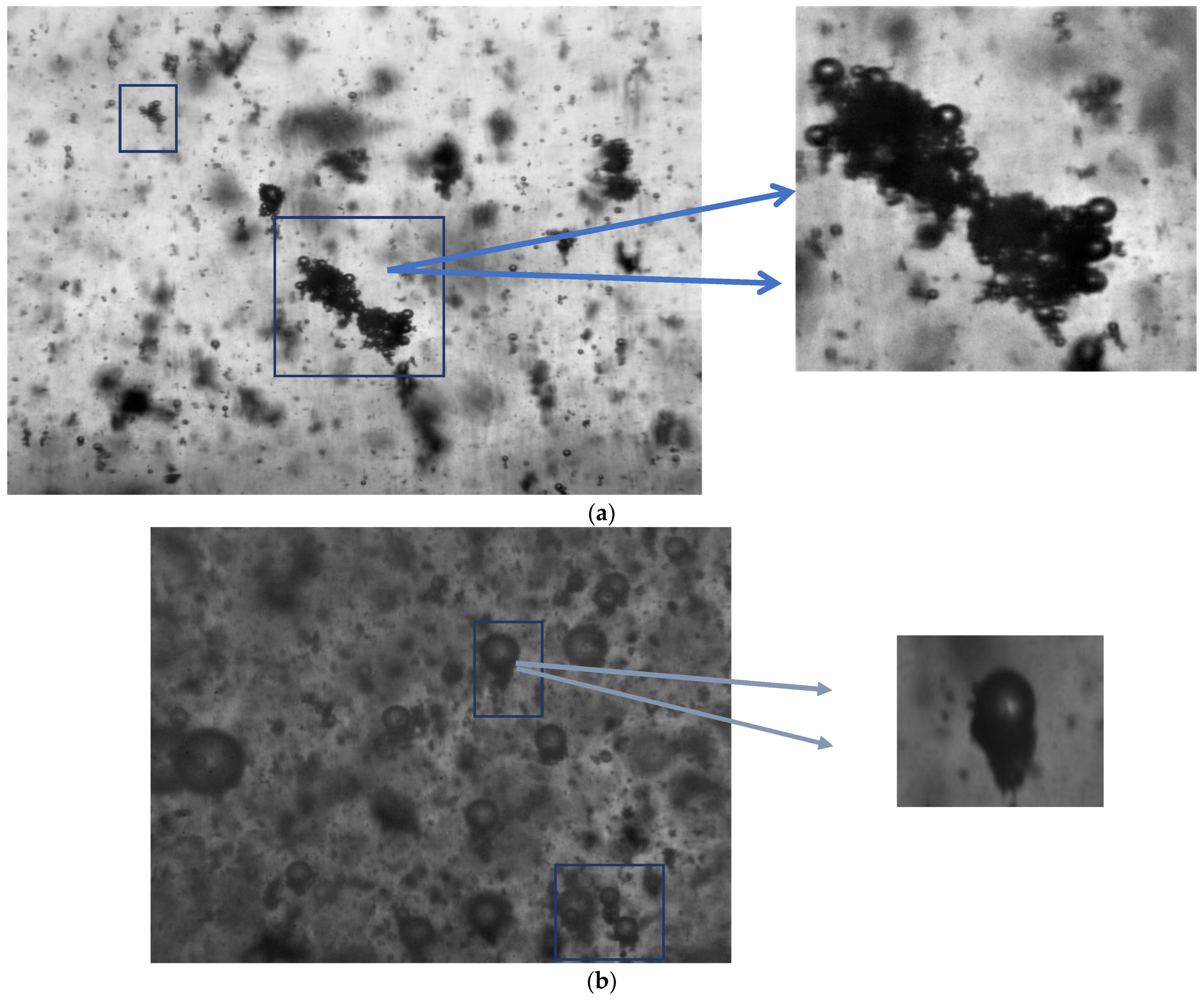 Minerals 13 00849 g005