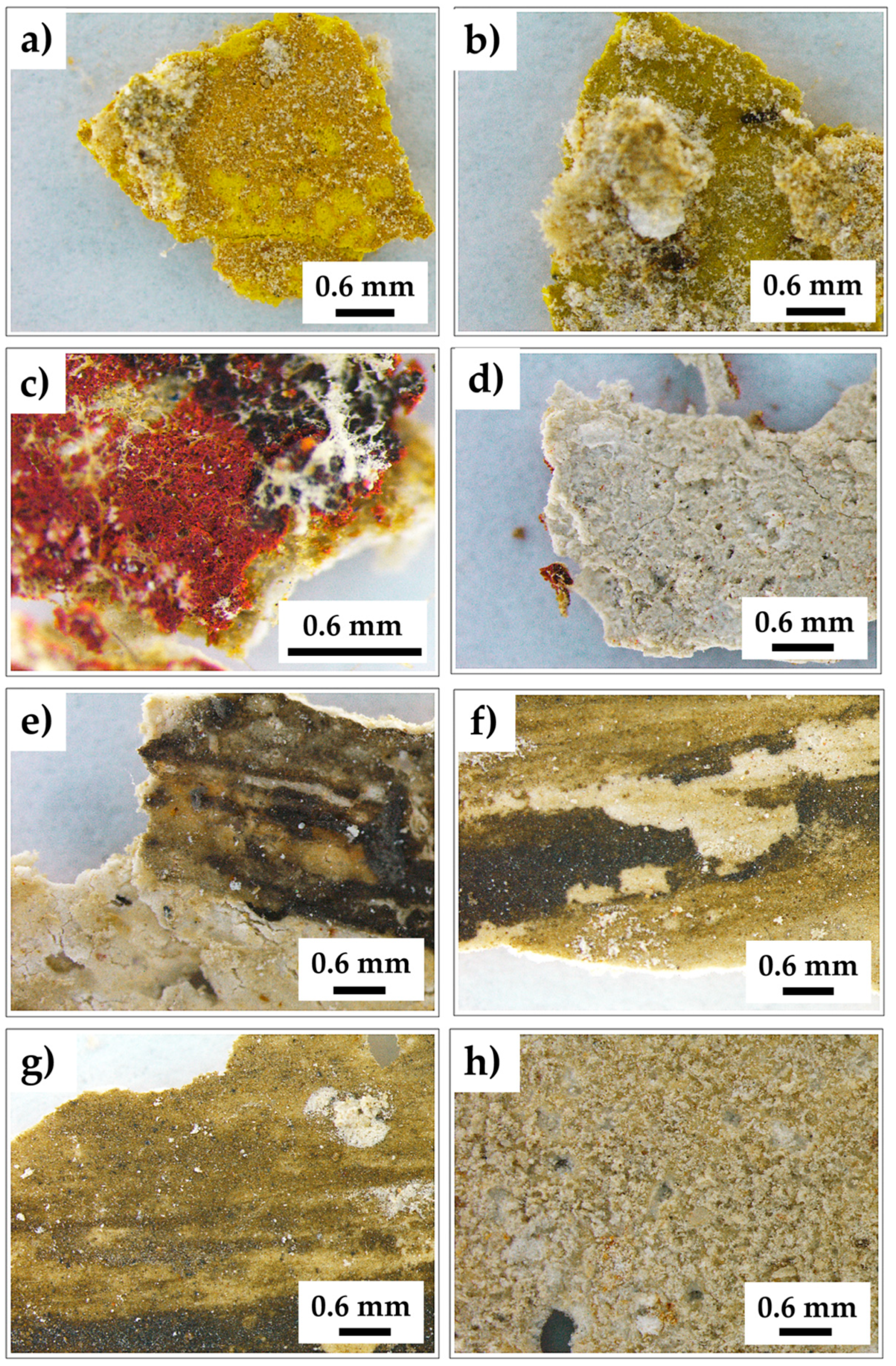 Minerals 13 00854 g007