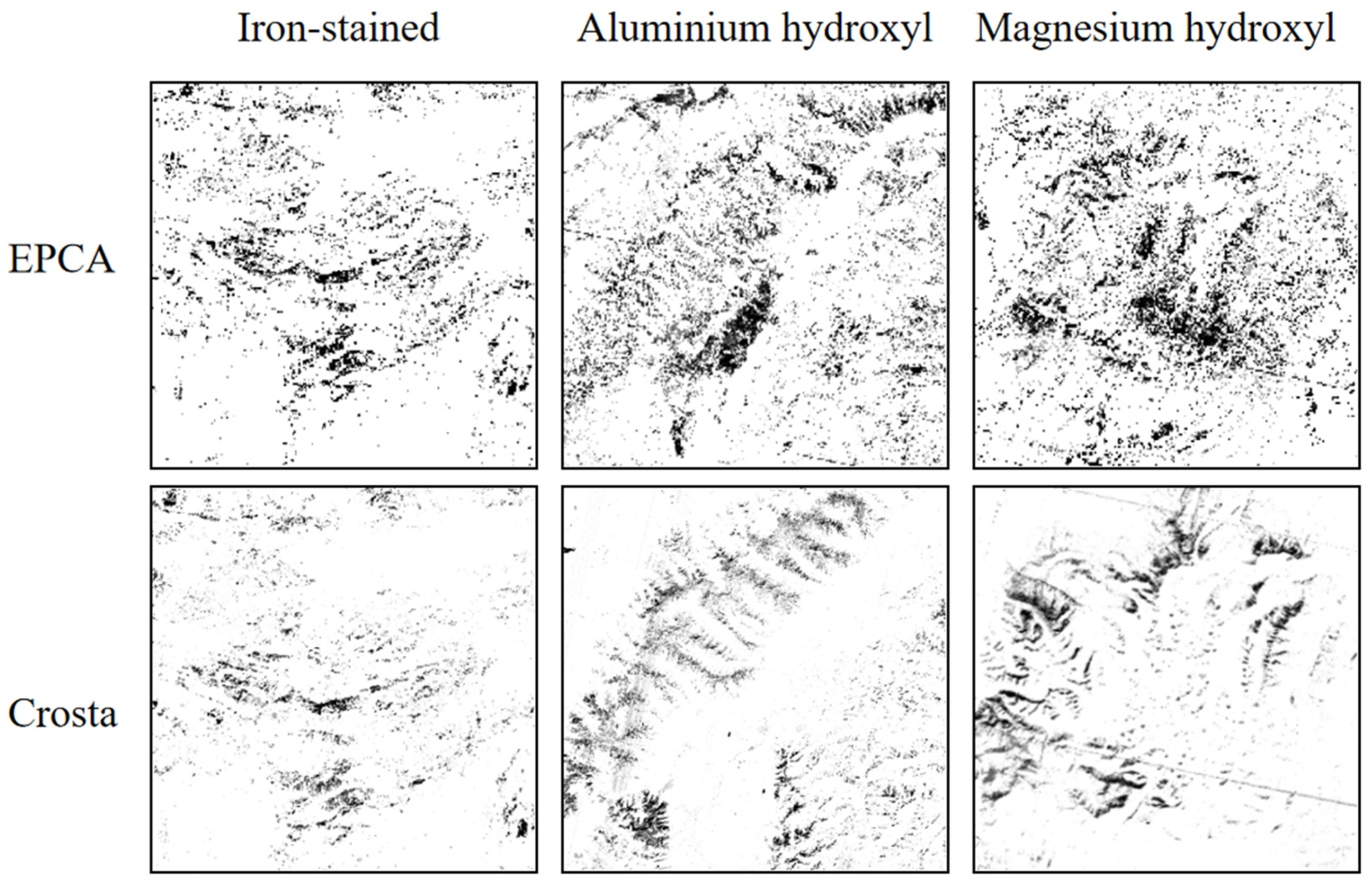 Minerals 13 00858 g012