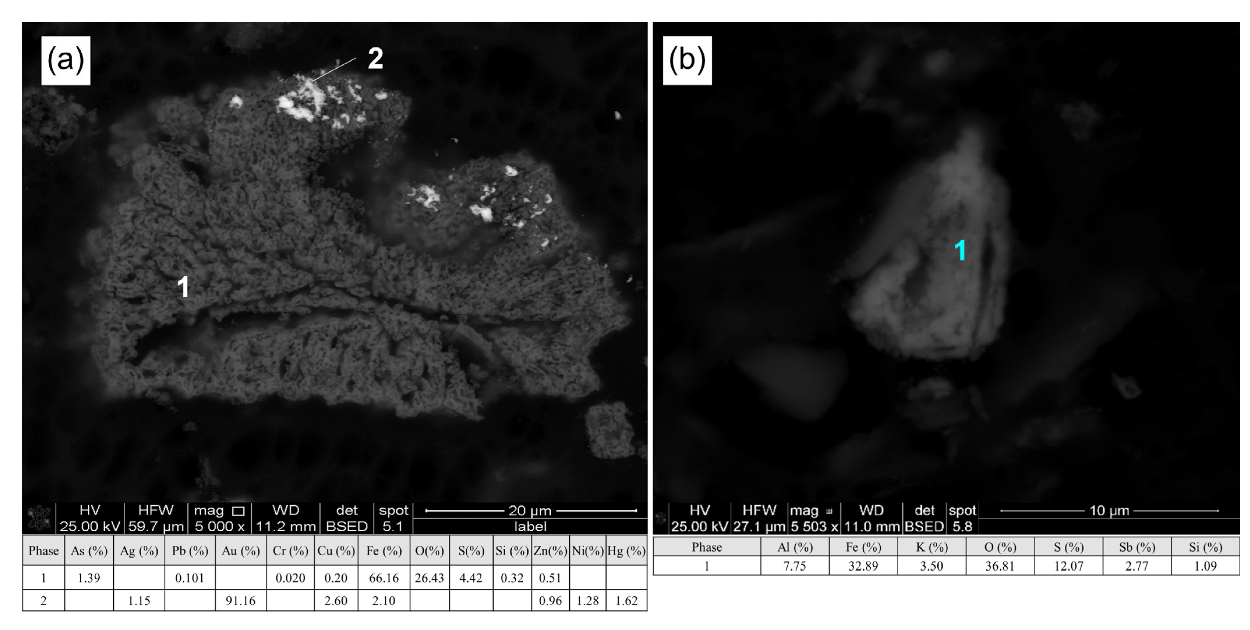 Minerals 13 00863 g004